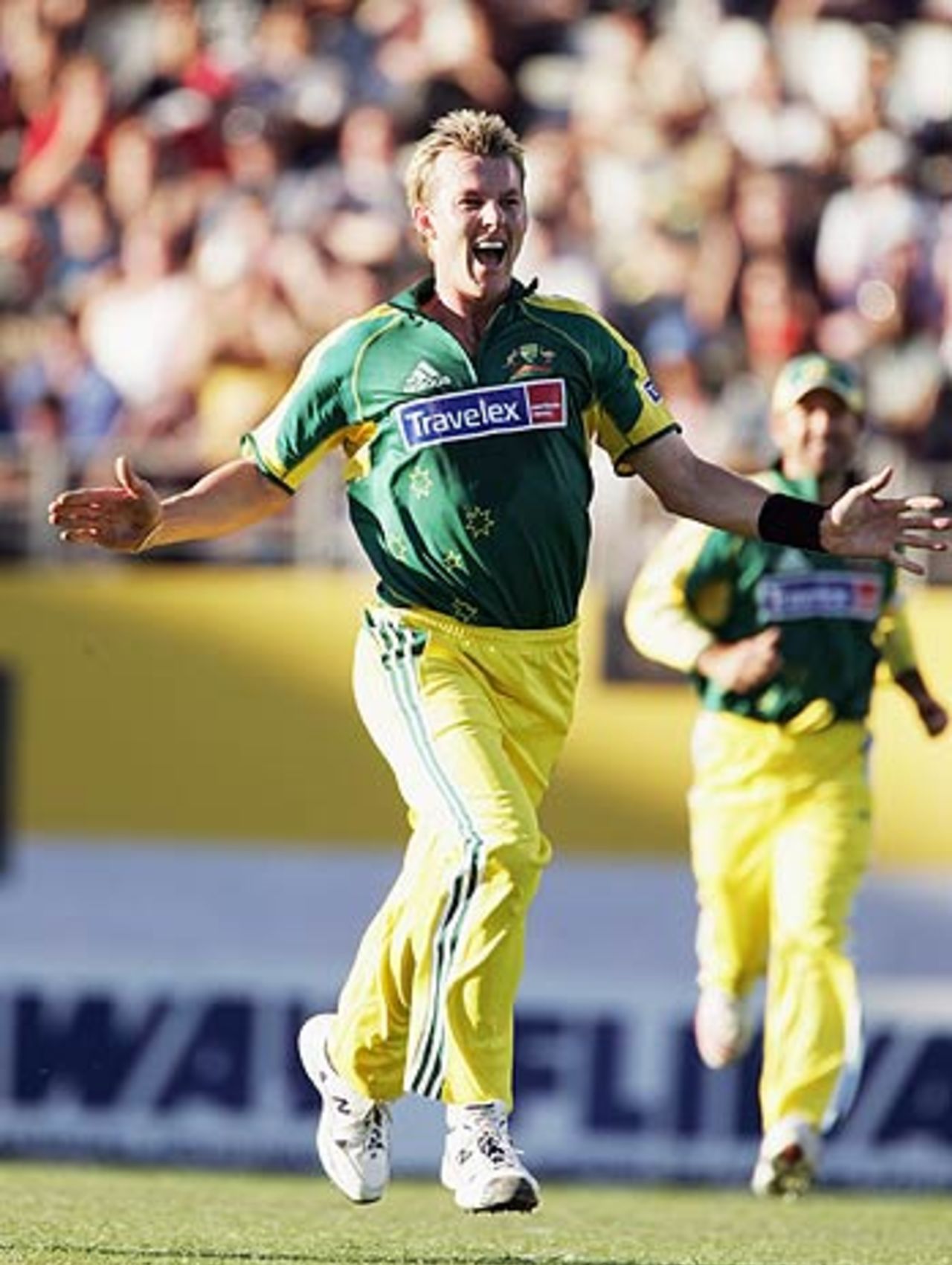 Brett Lee is overjoyed after knocking over Craig McMillan, New Zealand v Australia, 1st ODI, Chappell-Hadlee Trophy, Auckland, December 3, 2005