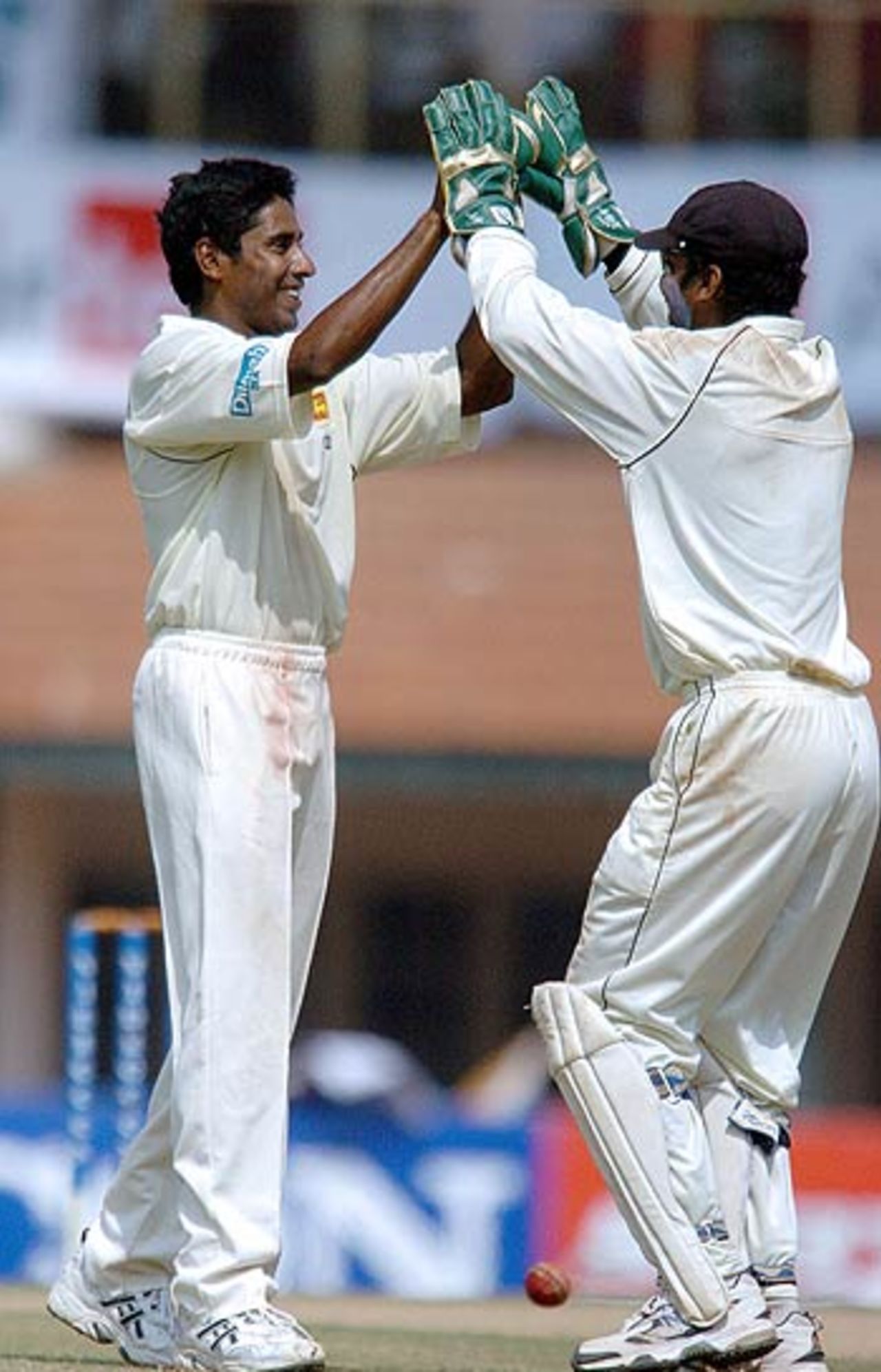 Chaminda Vaas celebrates another wicket with Kumar Sangakkara, India v Sri Lanka, 1st Test, Chennai, December 5, 2005
