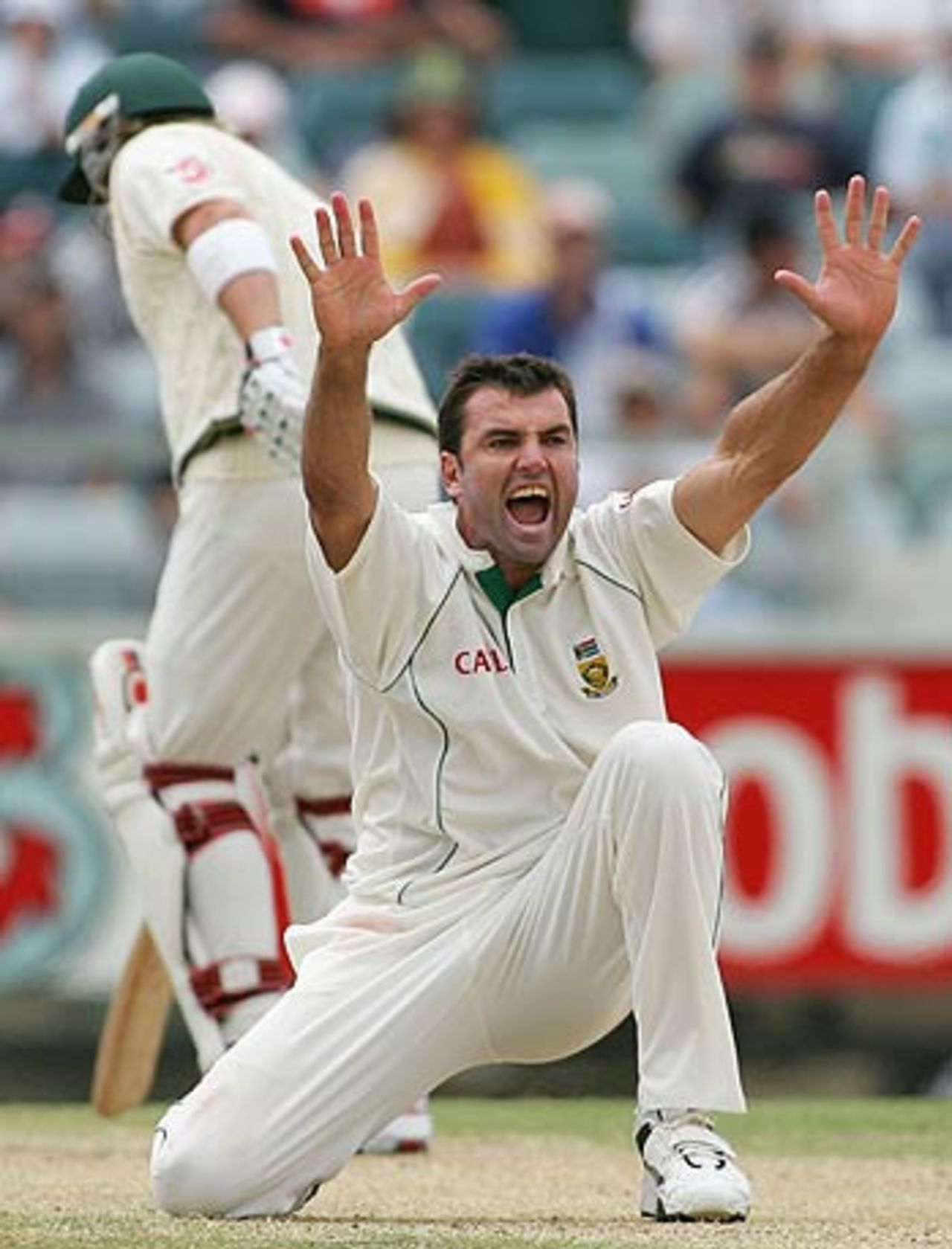 Justin Kemp appeals successfully for lbw against Shane Warne, Australia v South Africa, 1st Test, Perth, 4th day, December 19, 2005