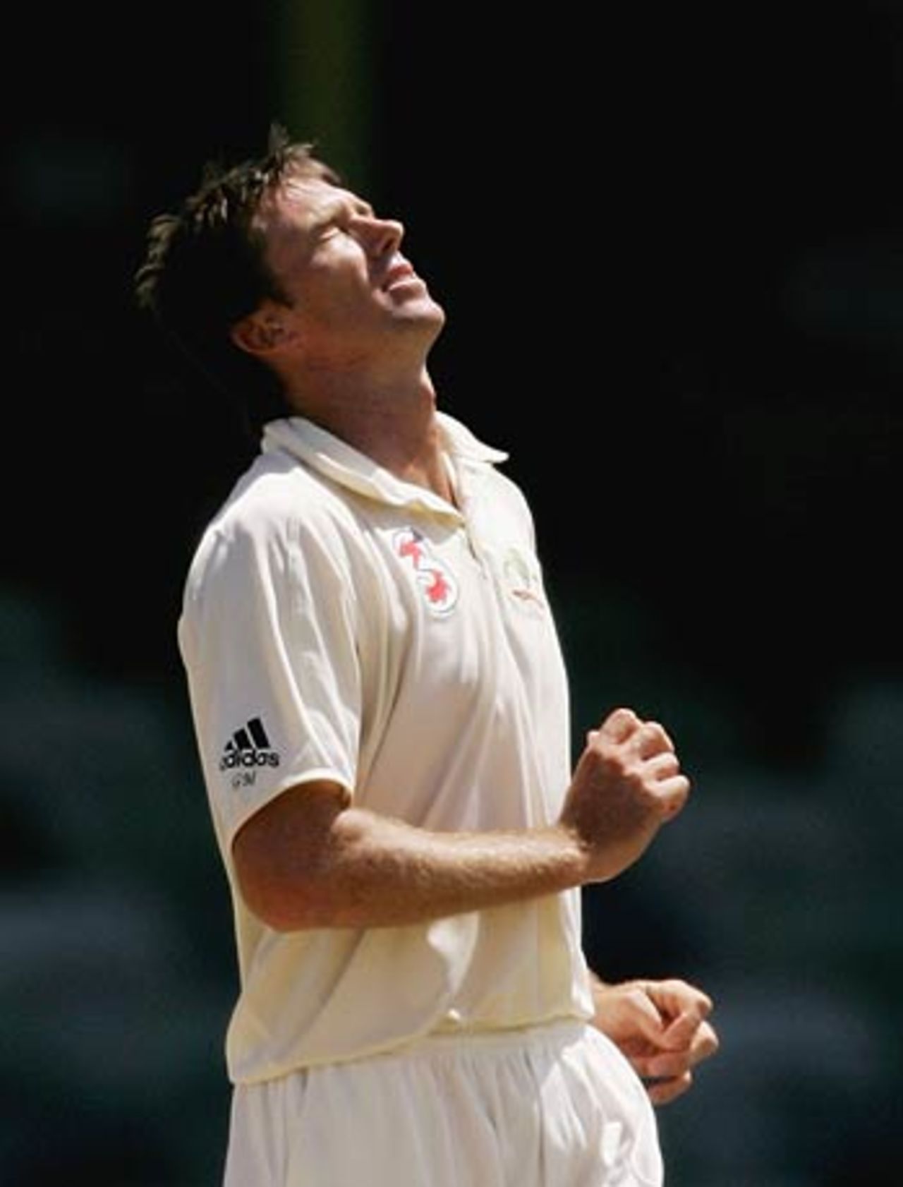The frustration begins to show on Glenn McGrath, Australia v South Africa, 1st Test, Perth, 4th day, December 20, 2005