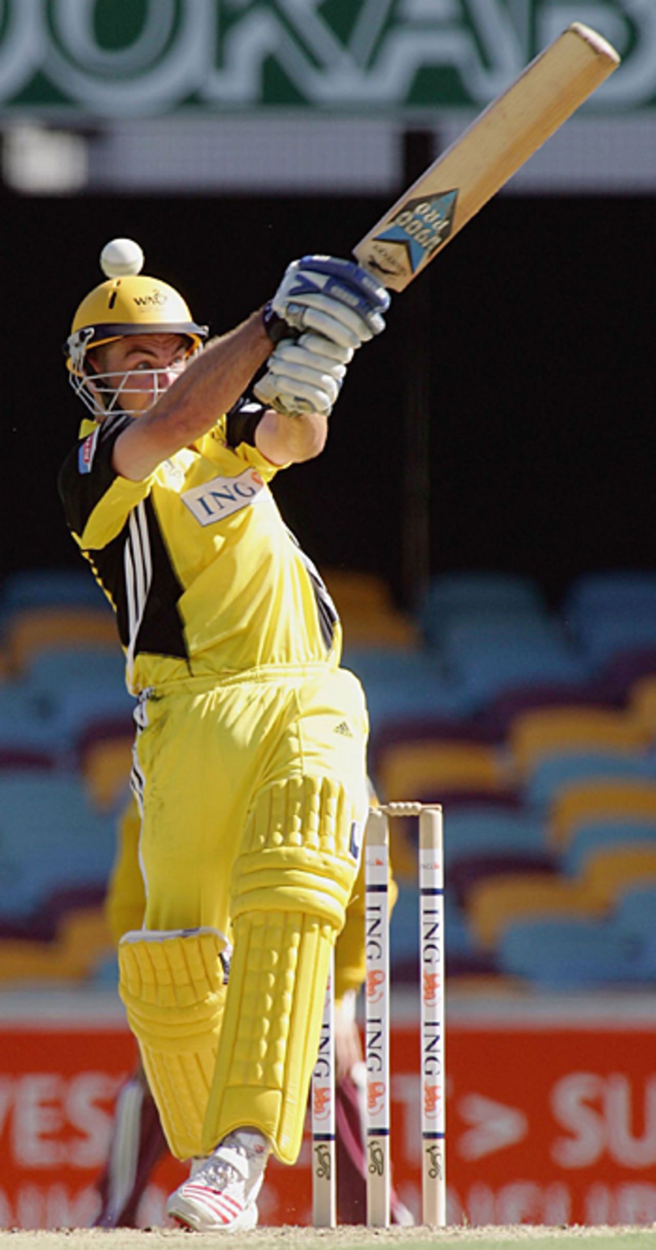 David Bandy hits out on his way to 54, Queensland v Western Australia, ING Cup, Brisbane, December 22, 2005