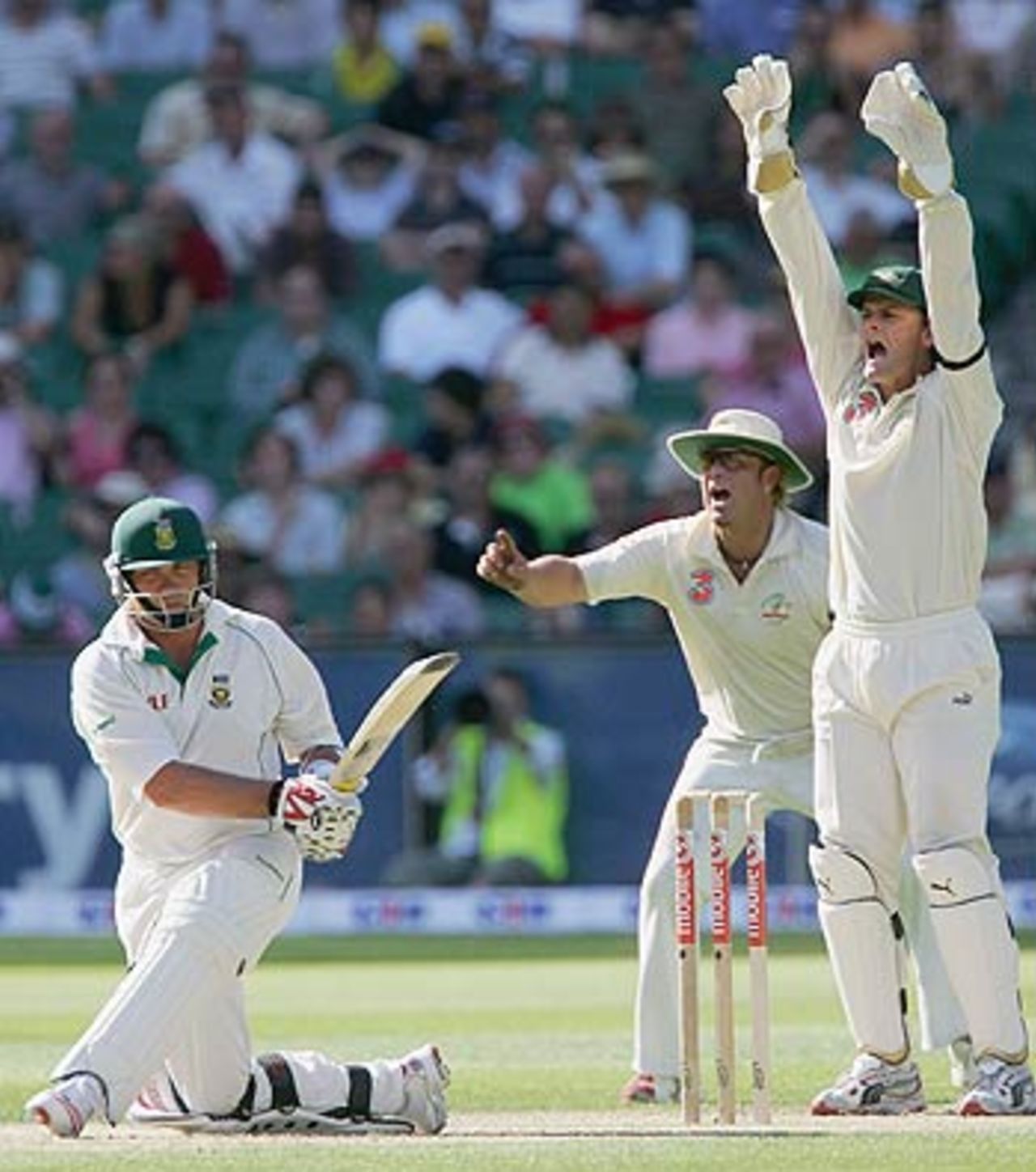 Shane Warne and Adam Gilchrist go up in appeal against Jacques Kallis, 2nd Test, Melbourne, 2nd day, December 27, 2005