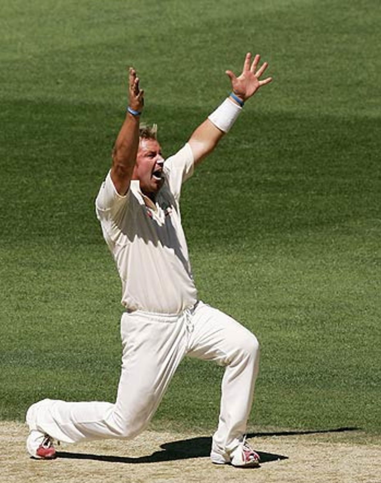 Shane Warne ended the year with 96 Test wickets, Australia v South Africa, 2nd Test, Melbourne, 4th day, December 30, 2005