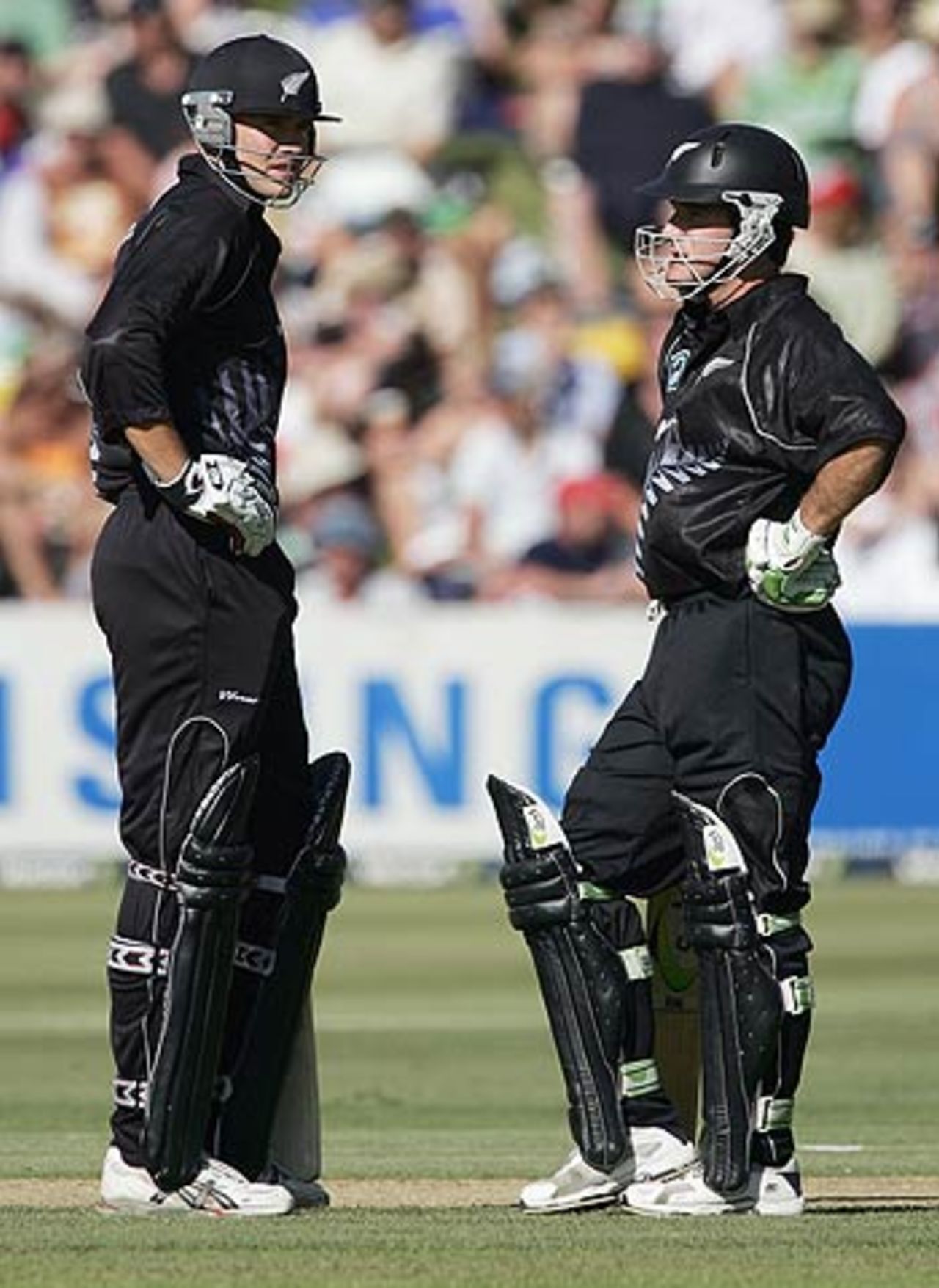 Peter Fulton and Jamie How during their match-winning stand, New Zealand Sri Lanka, 1st ODI, Queenstown, December 31, 2005
