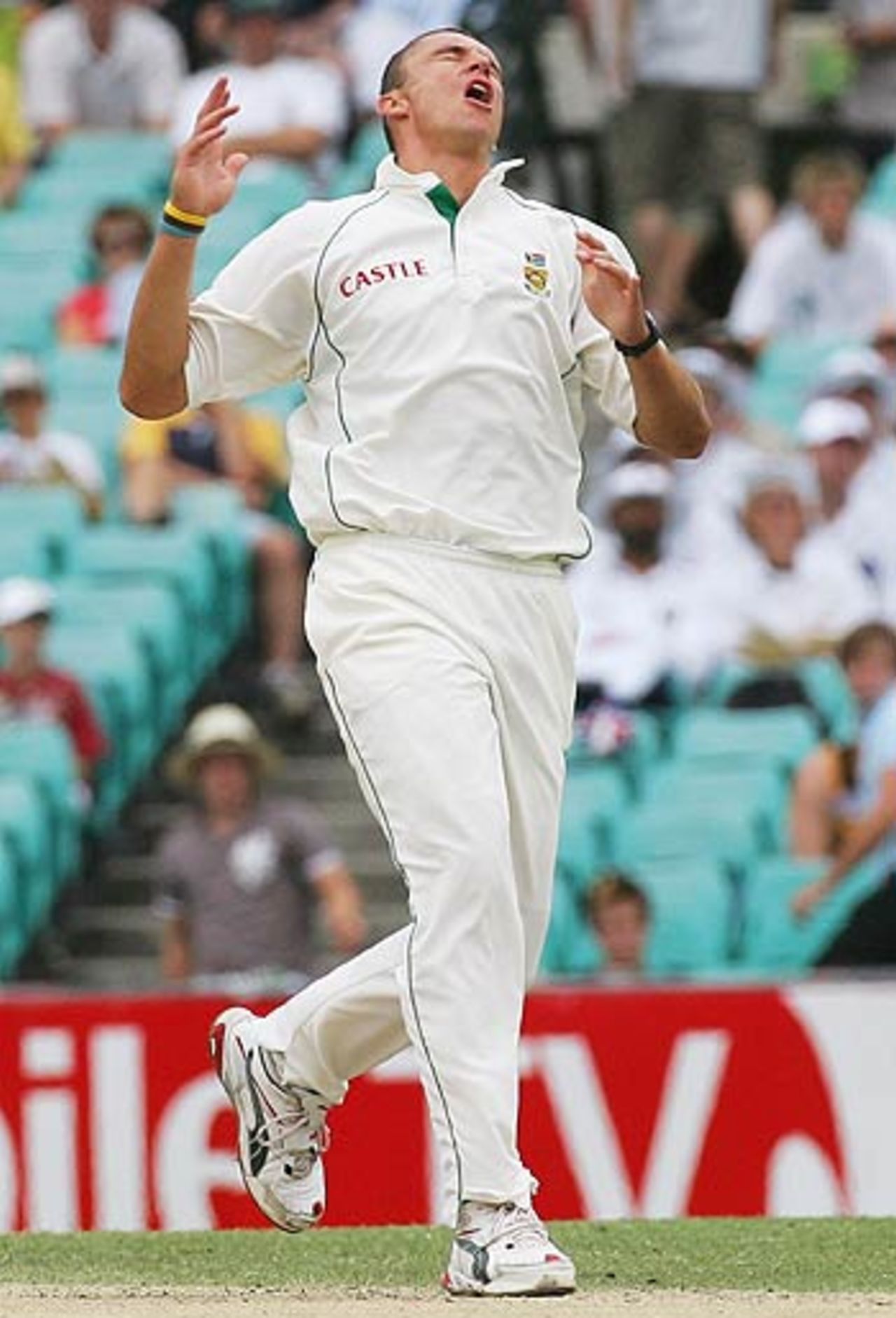 How close was that: Andre Nel went wicketless on the third morning, Australia v South Africa, 3rd Test, Sydney, 3rd day, January 4, 2006