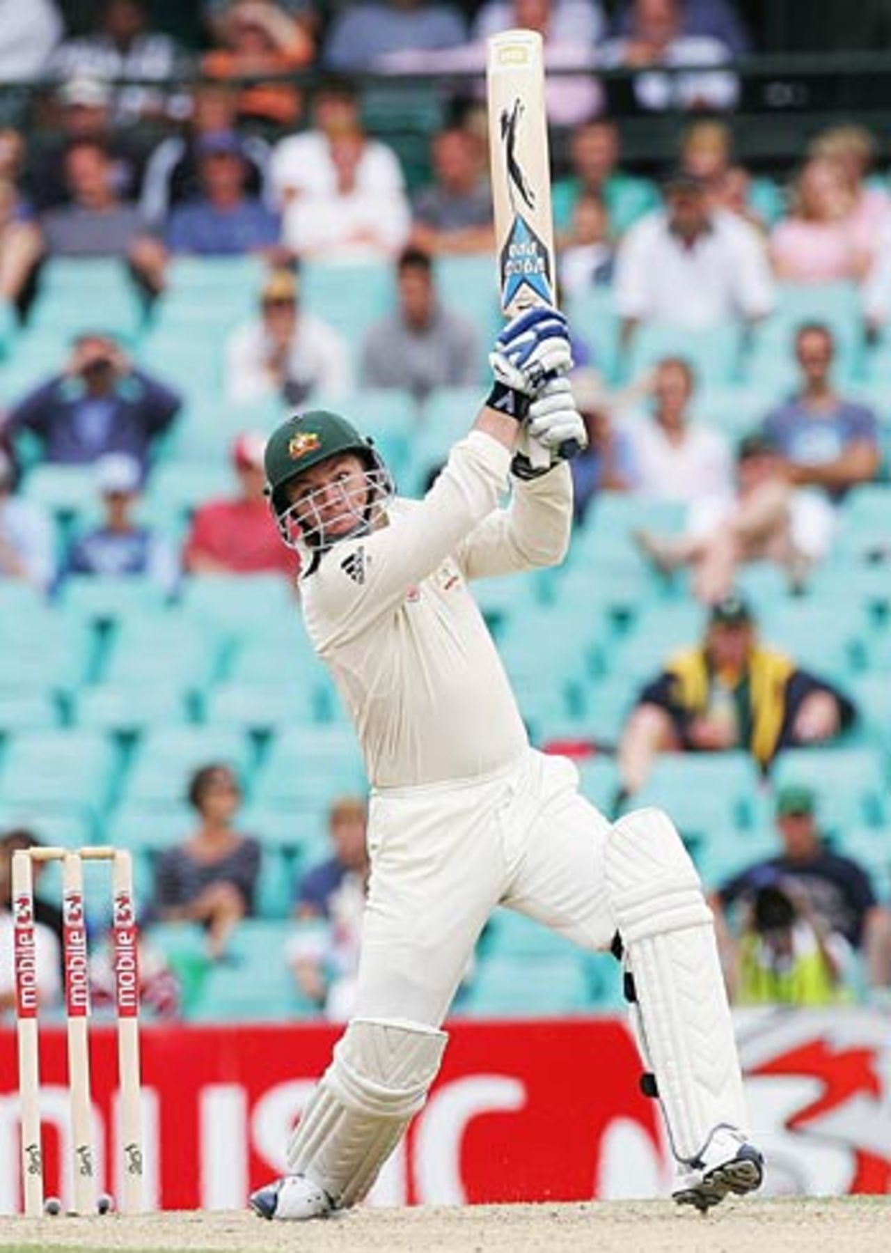 Stuart MacGill made a breezy 29 off 21 balls, Australia v South Africa, 3rd Test, Sydney, 3rd day, January 4, 2006