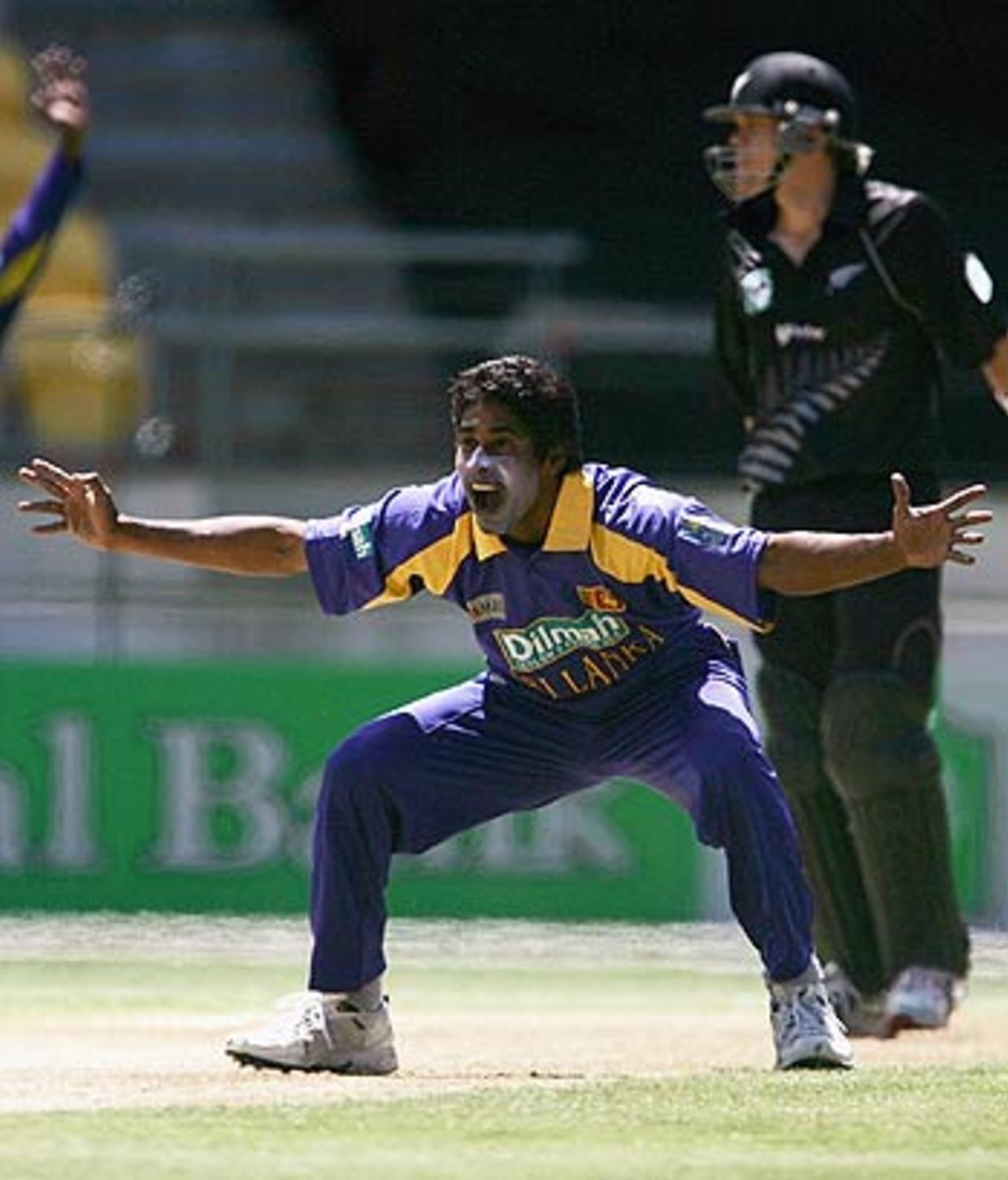 Chaminda Vaas appeals against Lou Vincent, New Zealand v Sri Lanka, 3rd ODI, Wellington, January 6, 2006