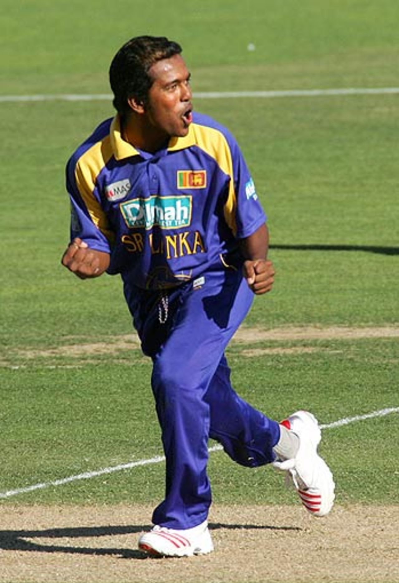 Malinga Bandara celebrates the wicket of Nathan Astle for 47, New Zealand v Sri Lanka, 5h ODI, Napier, January 8, 2006