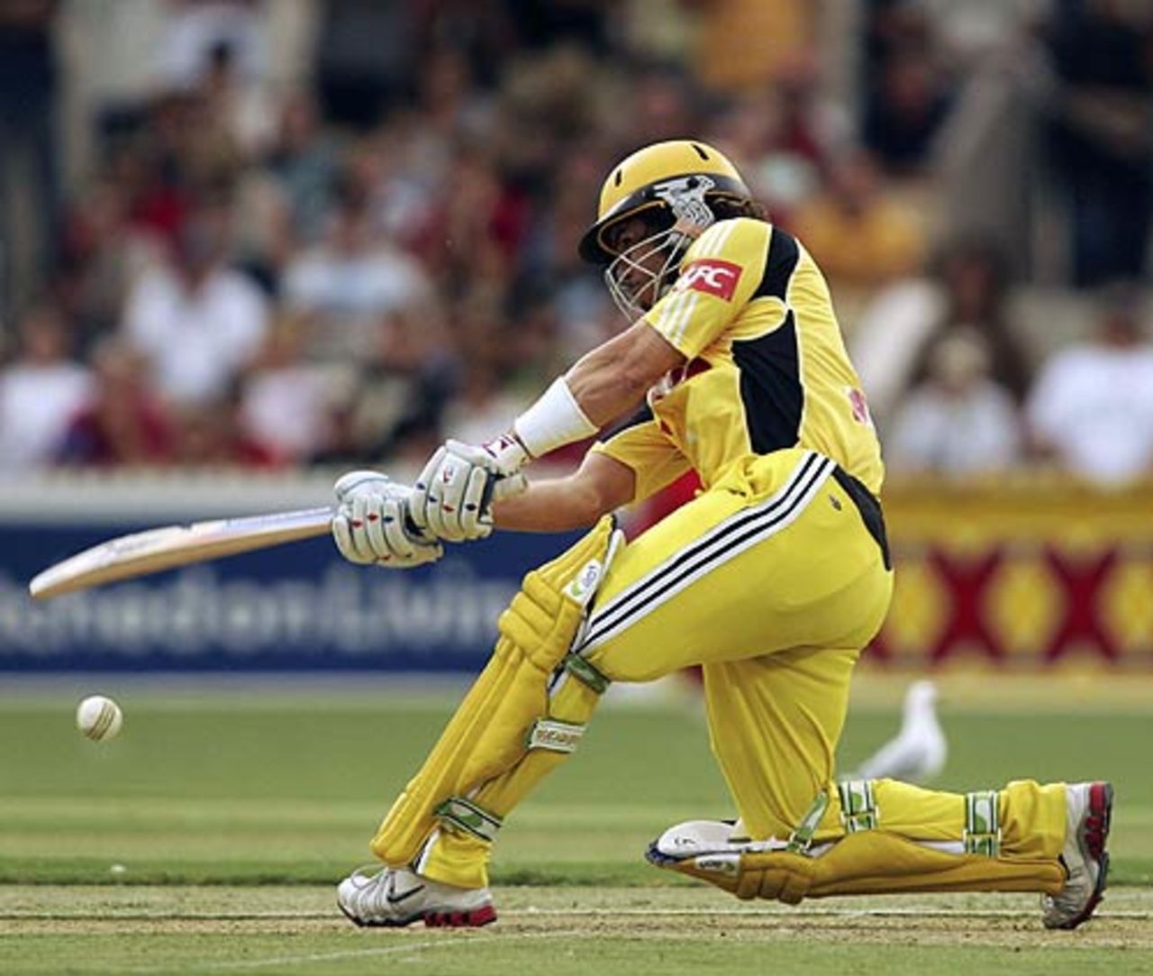 Ryan Campbell during his innings of 55 against South Australia, South Australia v Western Australia, Australian Twenty20 Competition, Group A, Adelaide, January 10, 2006
