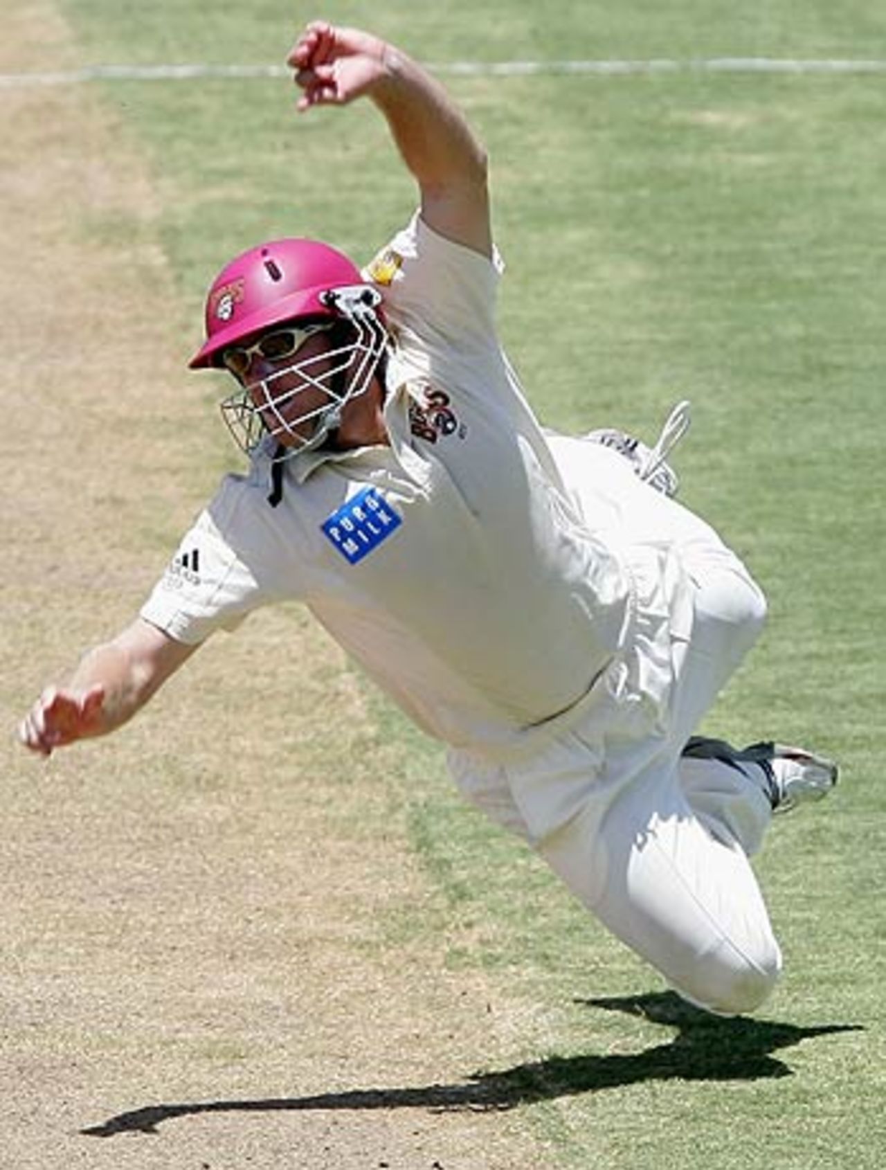 Ryan Broad dives at silly point, Western Australia v Queensland, Pura Cup, WACA Ground, Perth, January 15, 2006