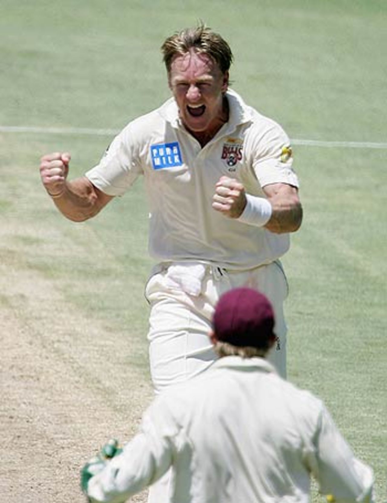 Andy Bichel takes a wicket for the Bulls, Western Australia v Queensland, Perth, Pura Cup, January 15, 2006
