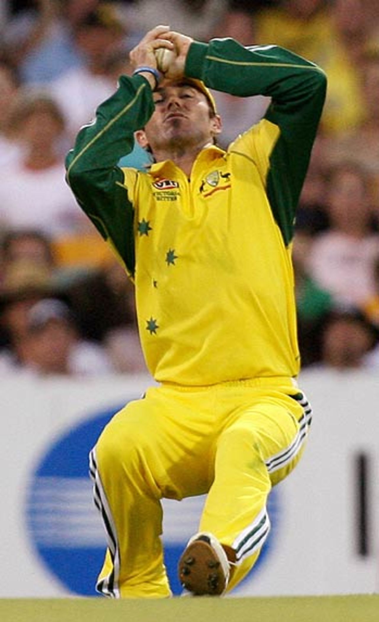 Damien Martyn hangs on to dismiss Herschelle Gibbs, Australia v South Africa, VB Series, Brisbane, January 15, 2006