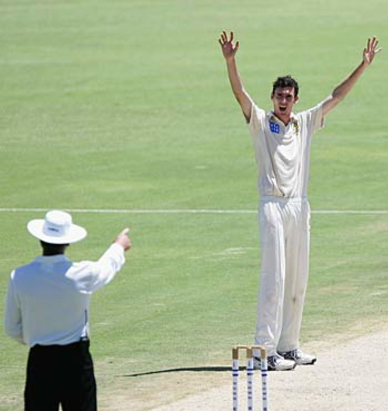 Steve Magoffin appeals for the wicket of Daniel Doran, Western Australia v Queensland, Pura Cup, Perth, January 17, 2006
