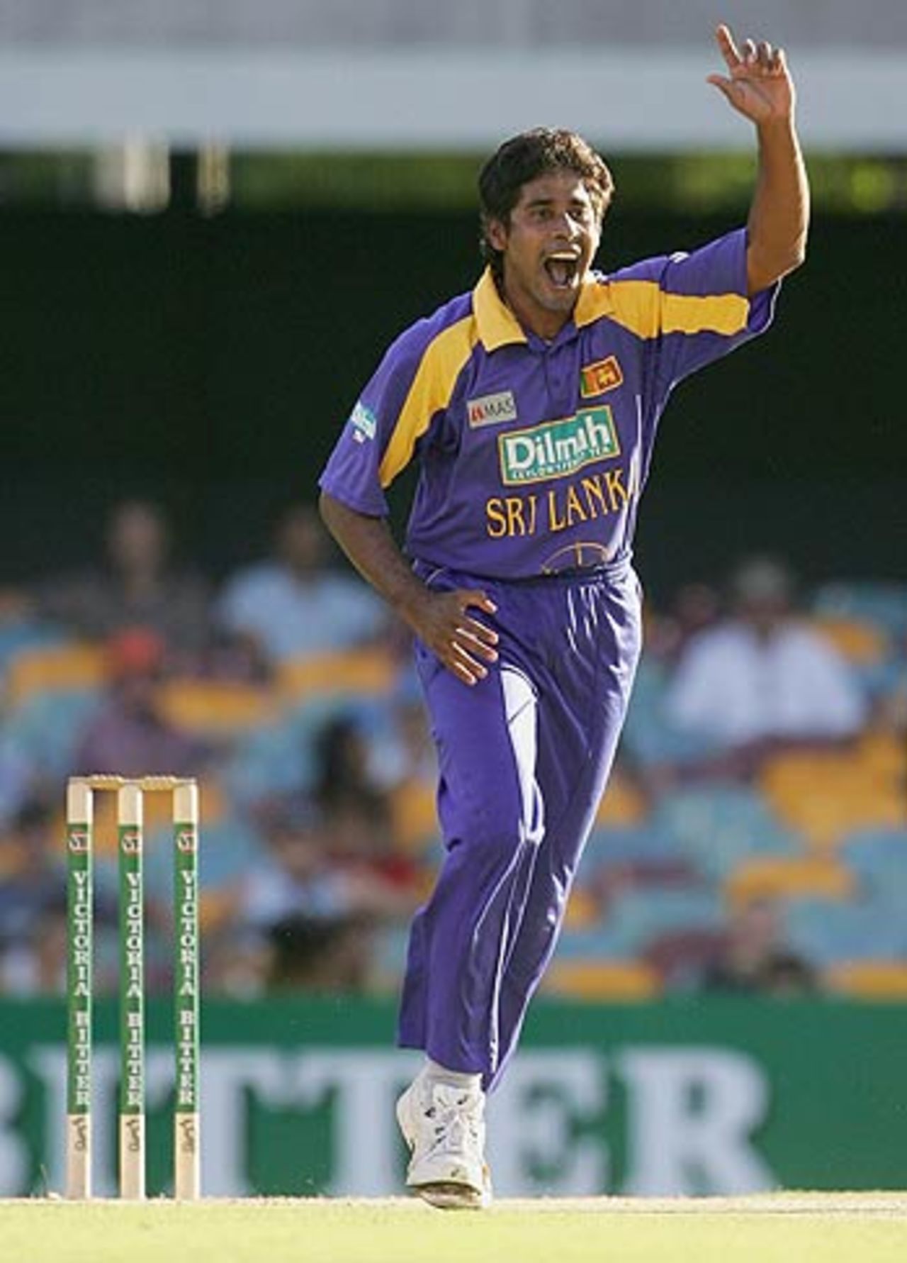 Chaminda Vaas appeals - successfully - for the wicket of Graeme Smith, South Africa v Sri Lanka, VB Series, Brisbane, January 17, 2006