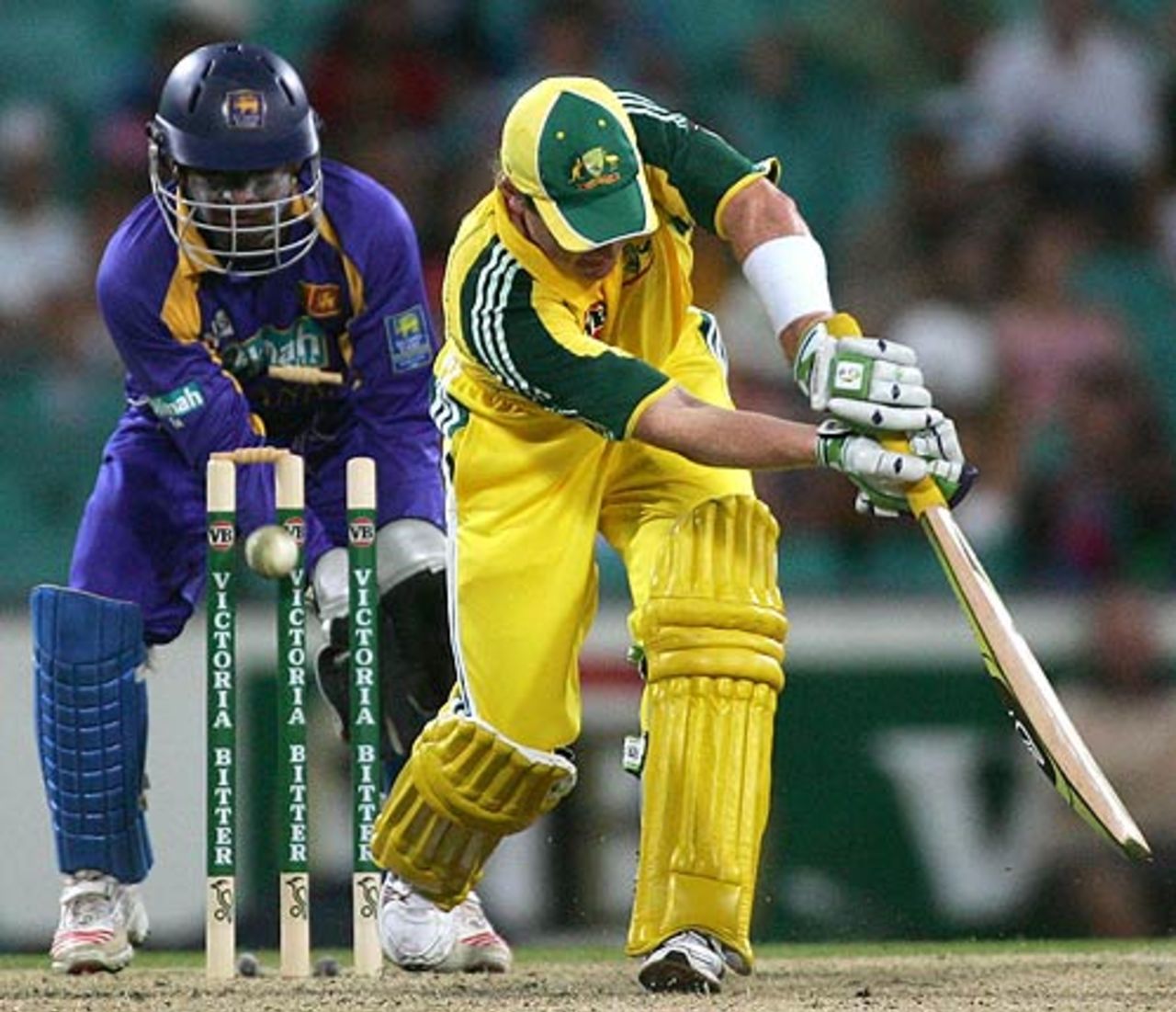 Brad Haddin is cleaned up by Muttiah Muralitharan, Australia v Sri Lanka, VB Series, Sydney, January 22, 2006