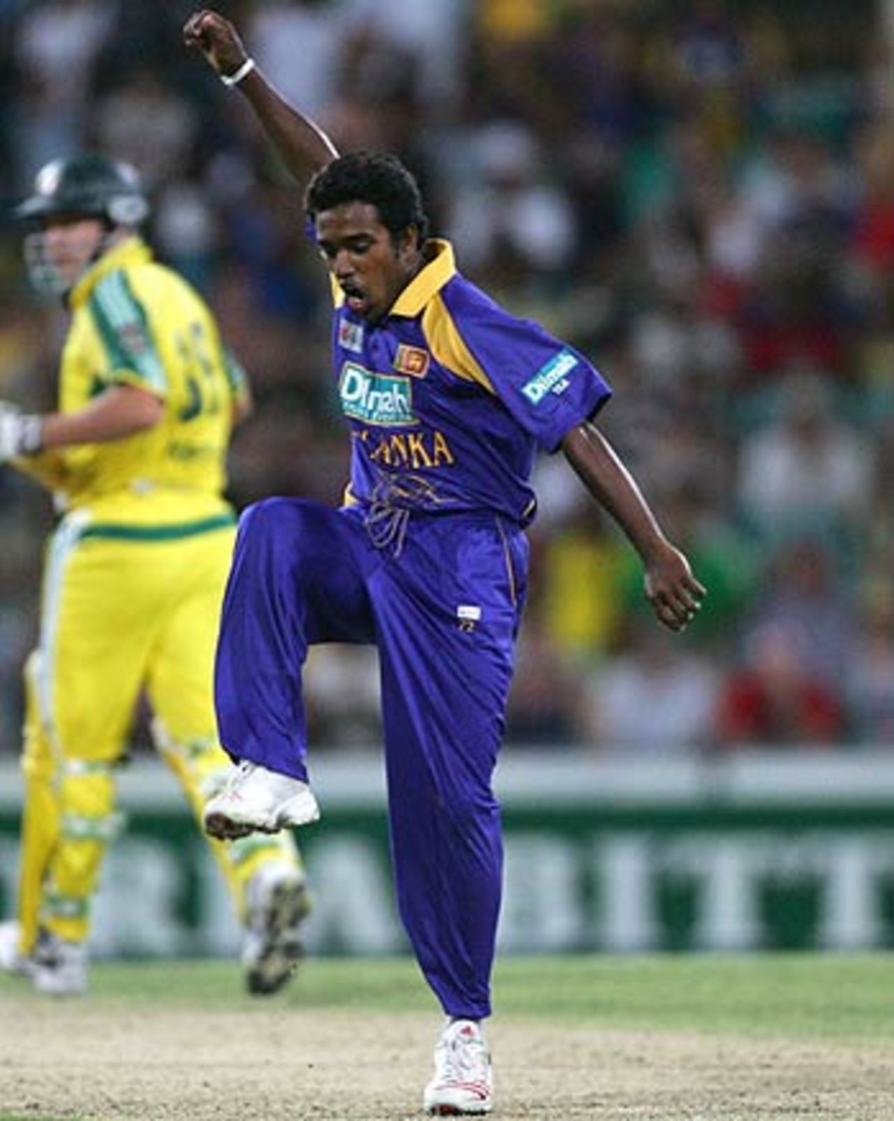 Malinga Bandara - who took 4 for 58 - celebrates a 51-run win over Australia, Australia v Sri Lanka, VB Series, Sydney, January 22, 2006