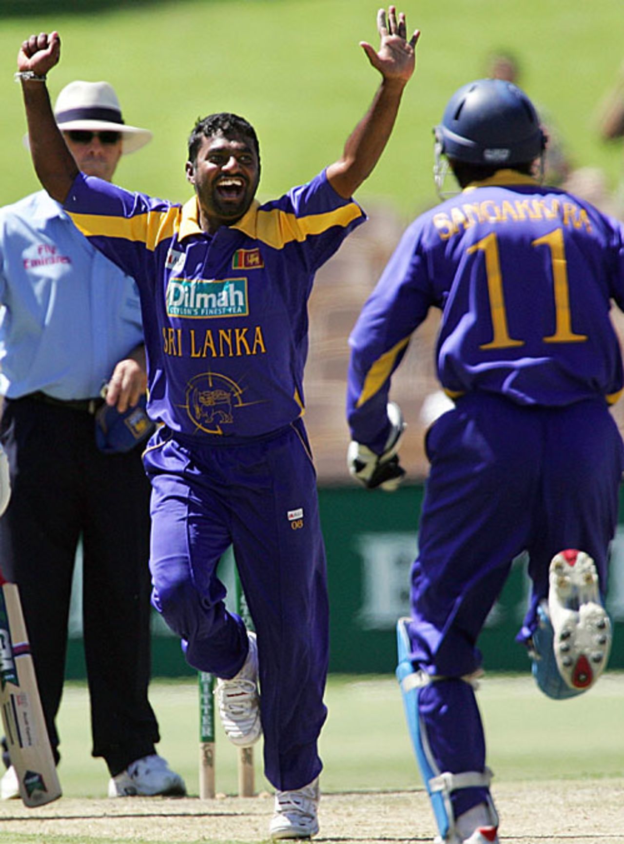 Muttiah Muralitharan celebrates his 400th one-day victim, South Africa v Sri Lanka, 6th match, VB Series, Adelaide, January 24, 2006