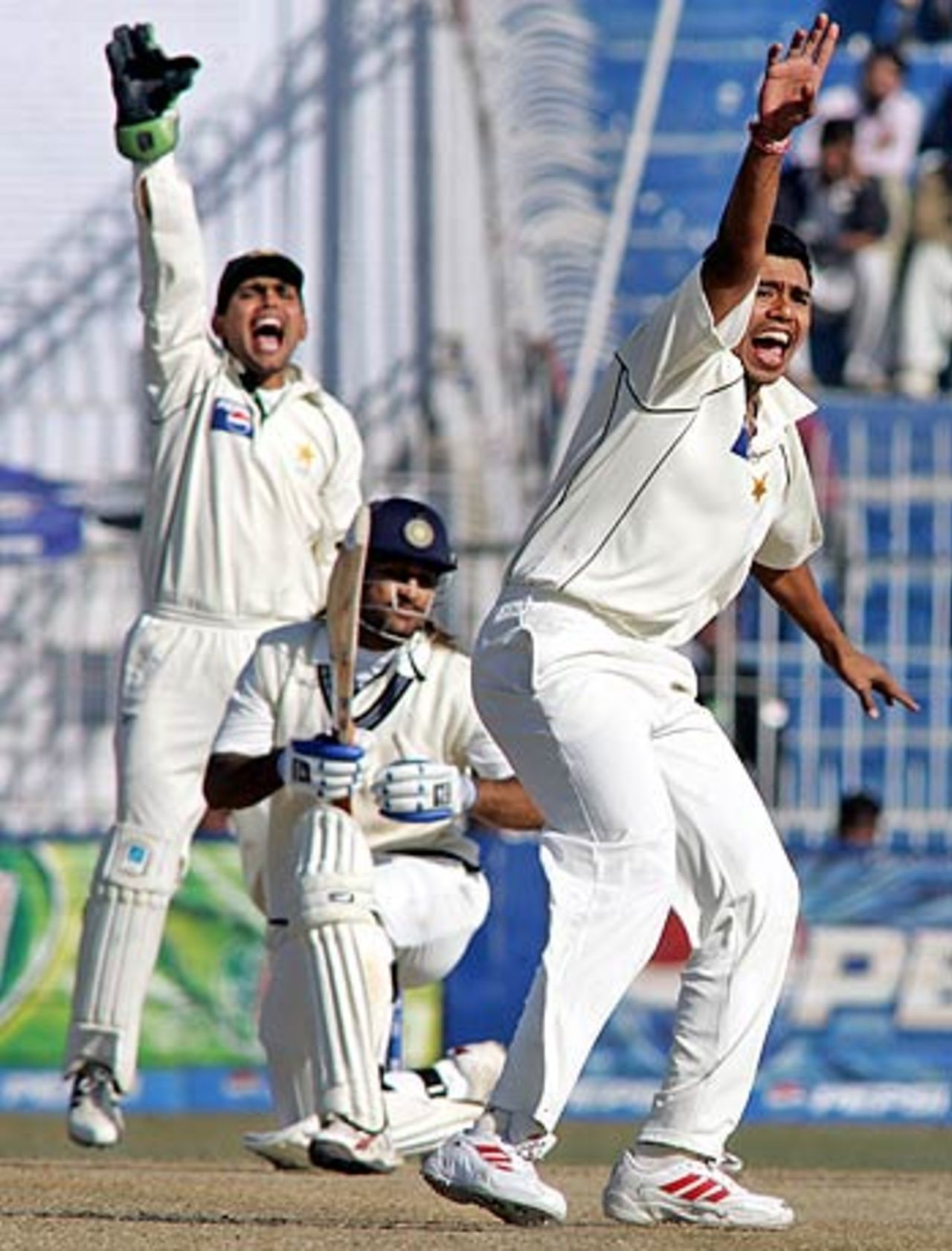 Danish Kaneria and Kamran Akmal appeal unsuccessfully for a LBW decision, Pakistan v India, 2nd Test, 4th day, Faisalabad, January 24 2006