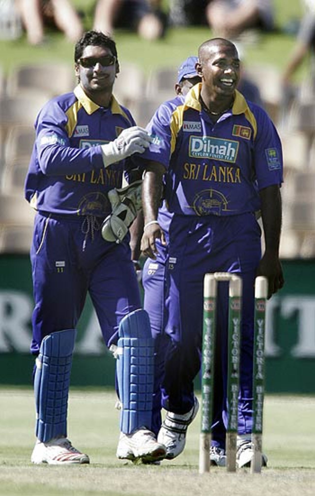 Ruchira Perera is jubilant after taking the wicket of Herschelle Gibbs, South Africa v Sri Lanka, 6th match, VB Series, Adelaide, January 24, 2006