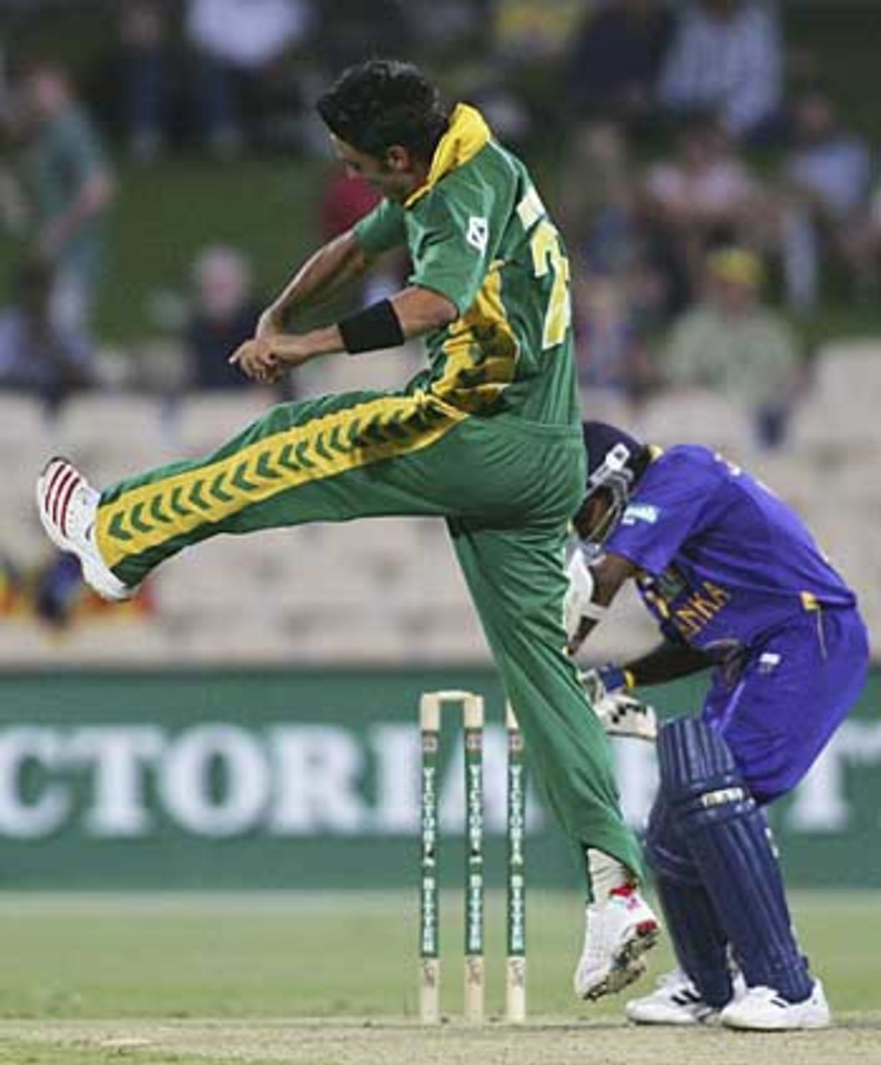 Johannes van der Wath celebrates Mahela Jayawardene's wicket, South Africa v Sri Lanka, 6th match, VB Series, Adelaide, January 24, 2006