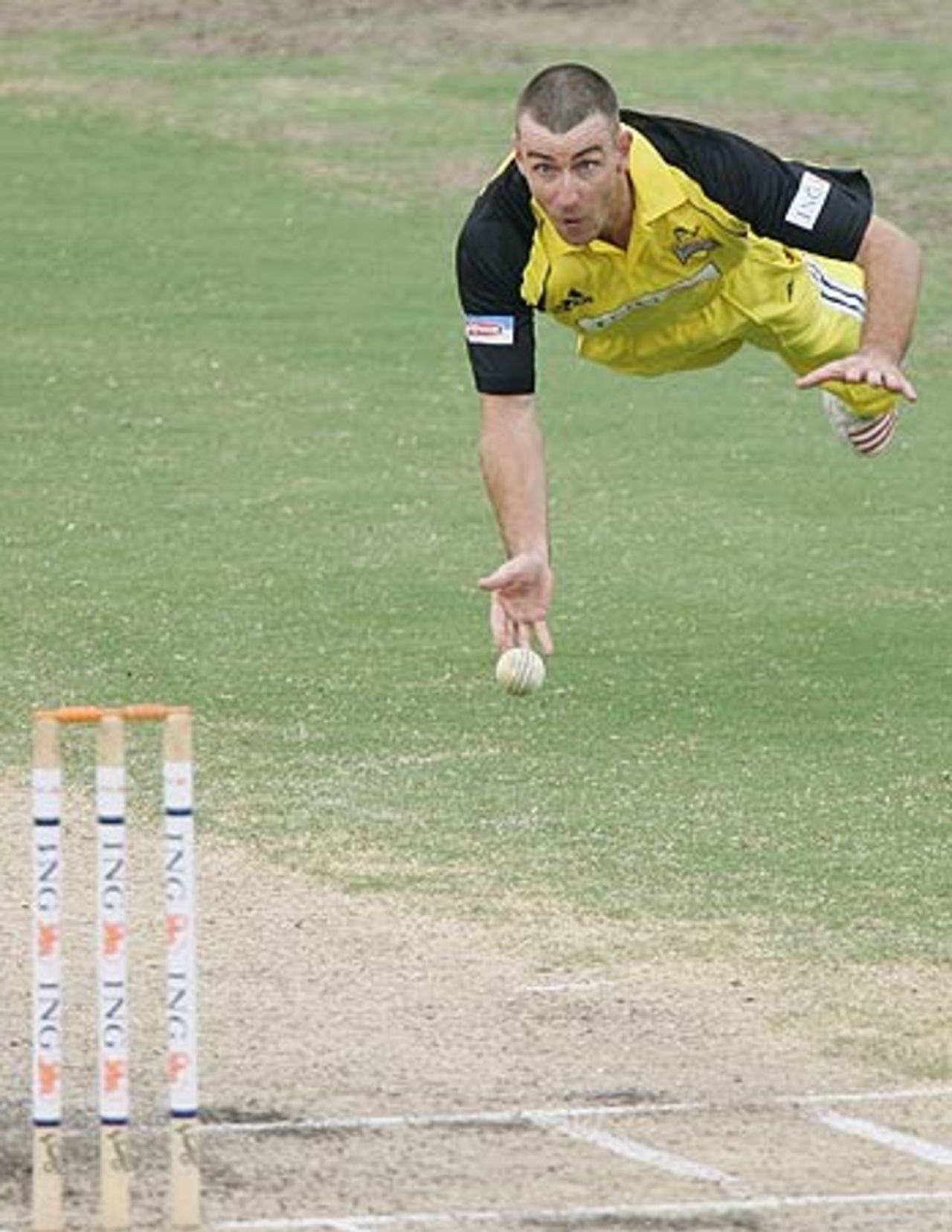 David Bandy dives attempting a direct hit, Western Australia v South Australia, ING Cup, Perth, January 25 2006