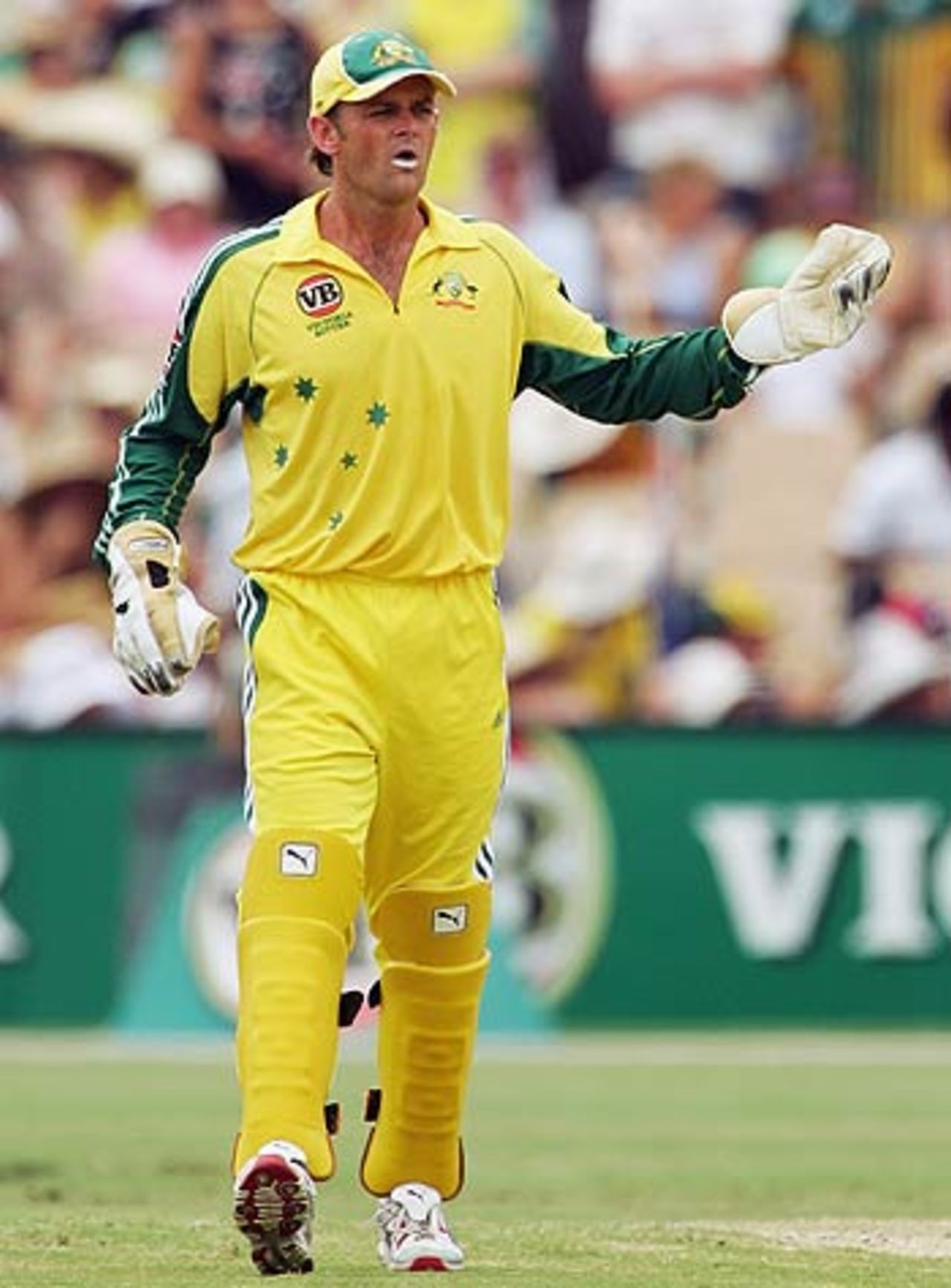 Stand-in captain Adam Gilchrist surveys the field, Australia v Sri Lanka, 7th match, VB Series, Adelaide, January 26, 2006