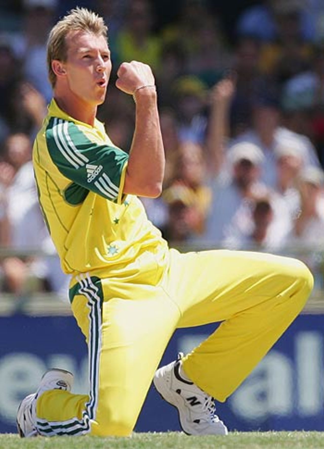 Brett Lee celebrates the wicket of Sanath Jayasuriya, Australia v Sri Lanka, 8th Match, VB Series, Perth, January 29, 2006