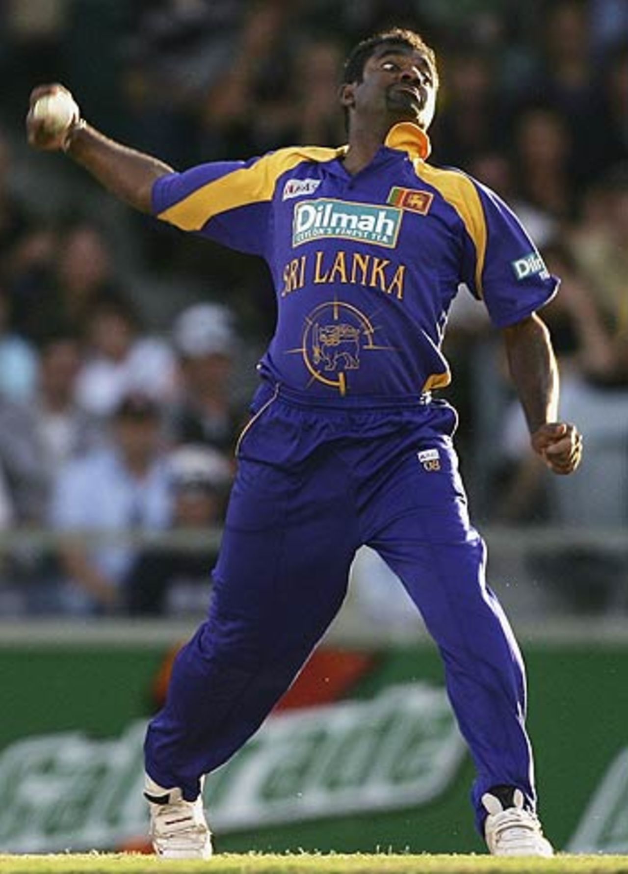 The introduction of Muttiah Muralitharan did little to stem the run flow, Australia v Sri Lanka, 8th Match, VB Series, Perth, January 29, 2006