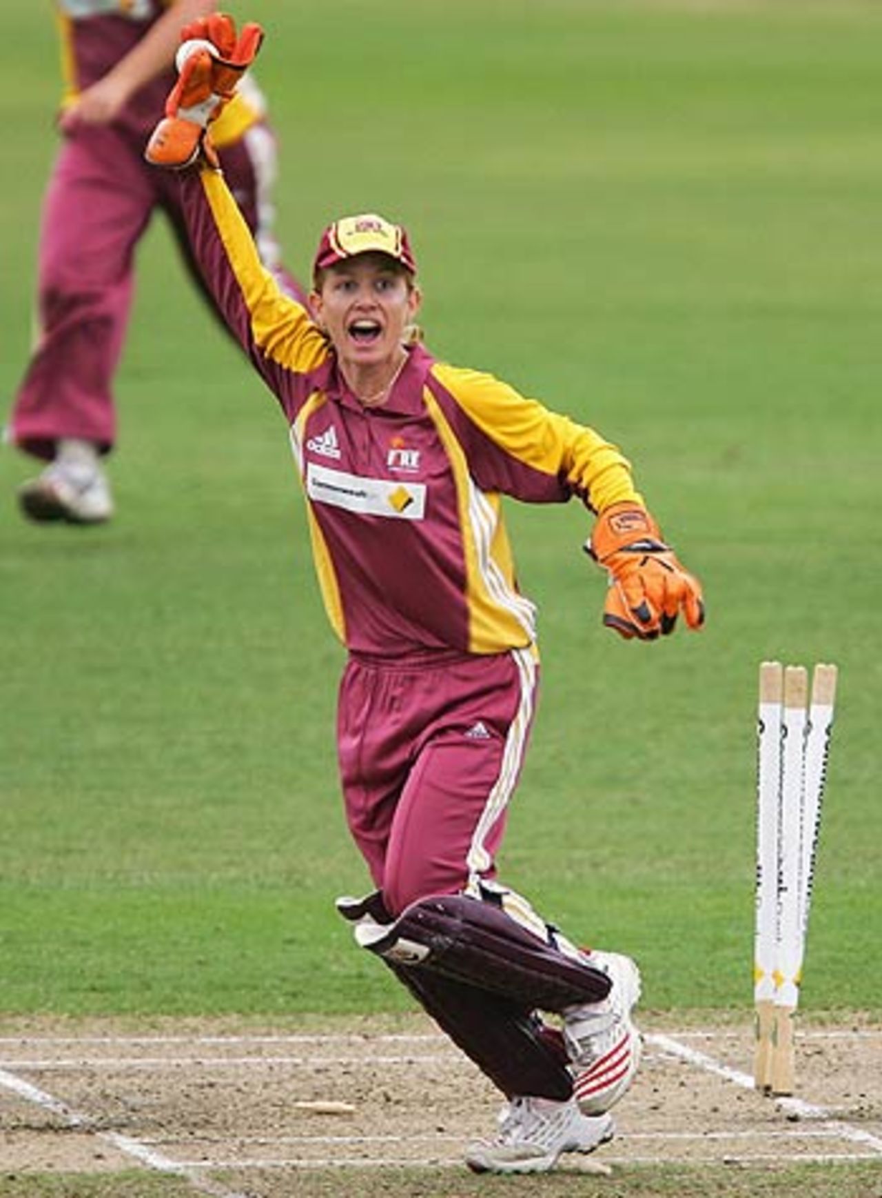 Jodie Purves stumps Leah Poulton, New South Wales Women v Queensland Women, 2nd Final, Women's National Cricket League, Sydney, February 4, 2006
