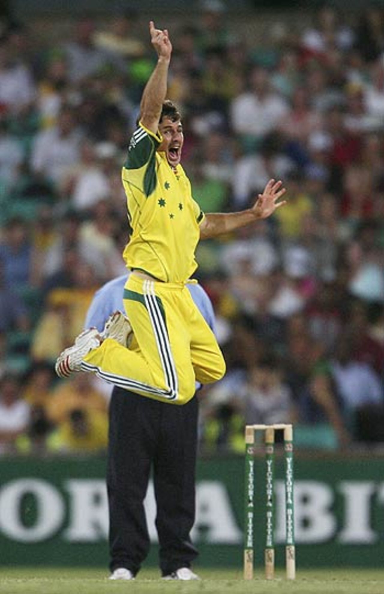 Brad Hogg takes off during an appeal, VB Series, 2nd Final, Sydney, February 12, 2006