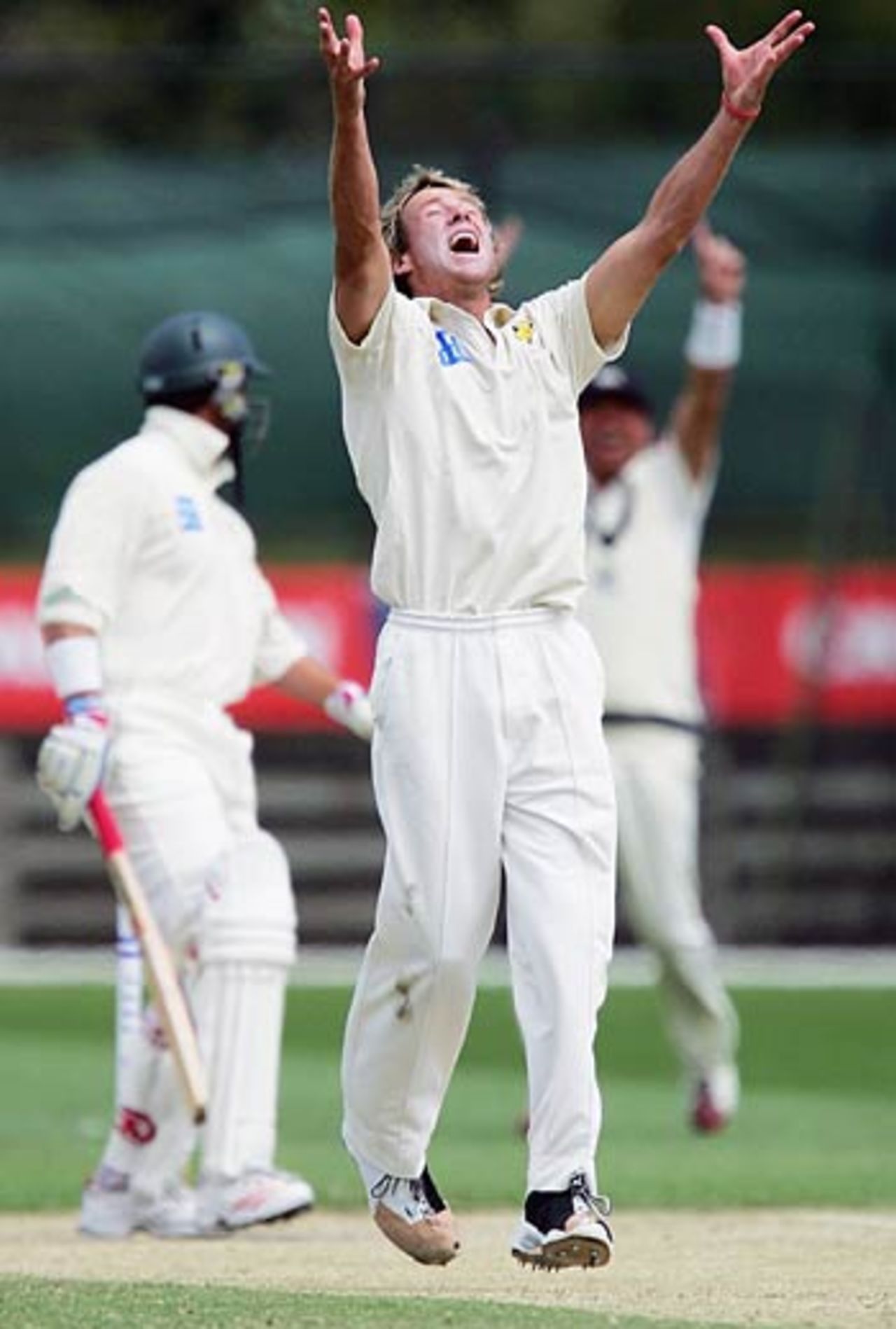 Gerard Denton appeals successfully for the wicket of Michael Di Venuto, Victoria v Tasmania Pura Cup, Junction Oval, Melbourne, February 14, 2006