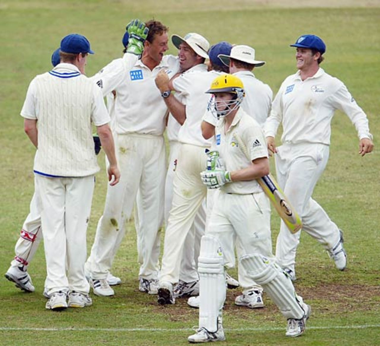 New South Wales players celebrate the wicket of Adam Voges off the bowling of Matthew Nicholson , New South Wales v Western Australia, Pura Cup, SCG,  February 14, 2006