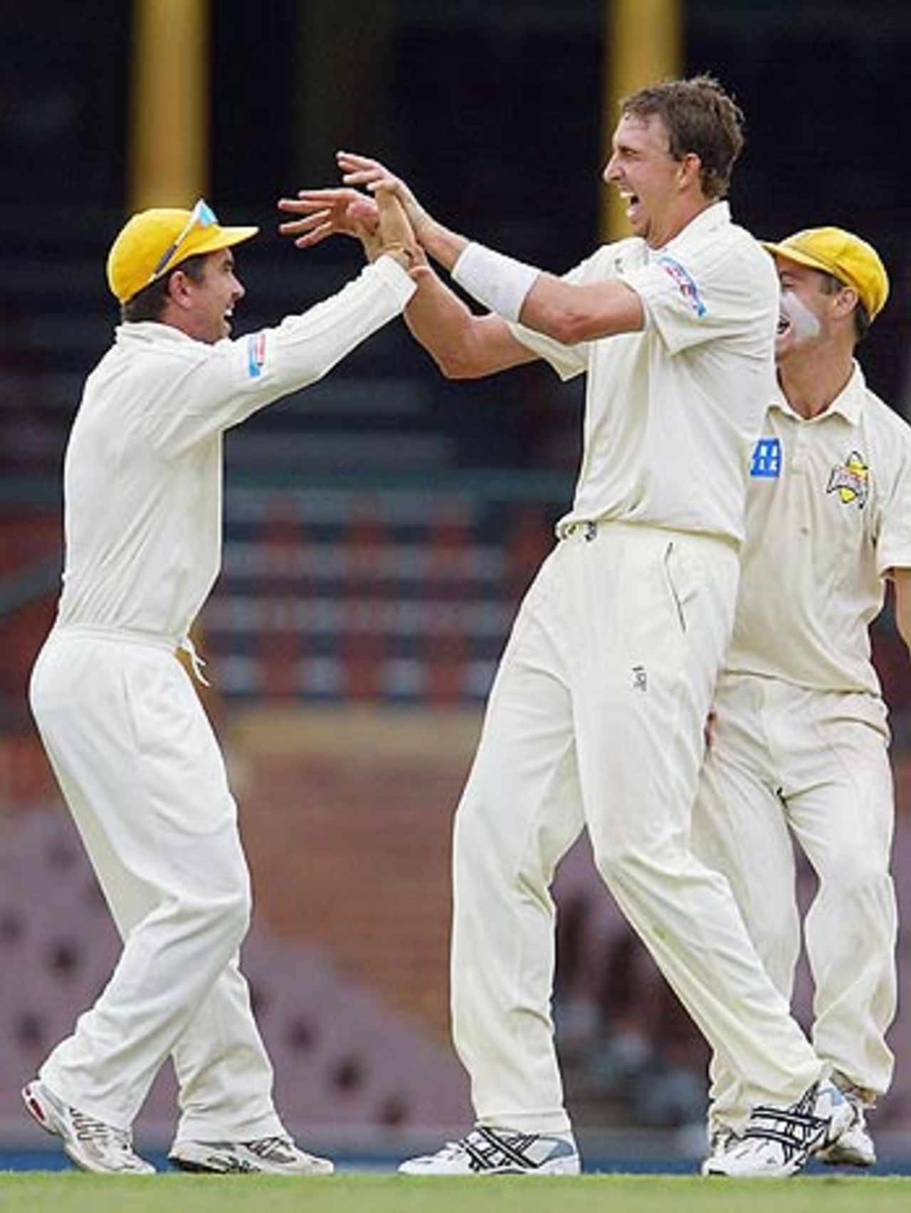 Justin Langer and Brett Dorey celebrate a strike, New South Wales v Western Australia, Pura Cup, Sydney Cricket Ground, February 15, 2006