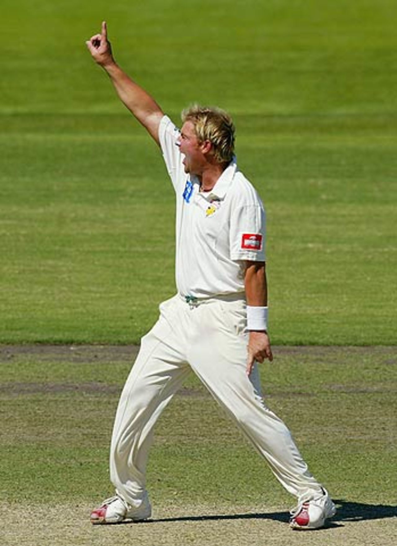 Shane Warne appeals for the wicket of Matthew Hayden,
Victoria v Queensland, Pura Cup, Melbourne, 3rd day, March 4 2006