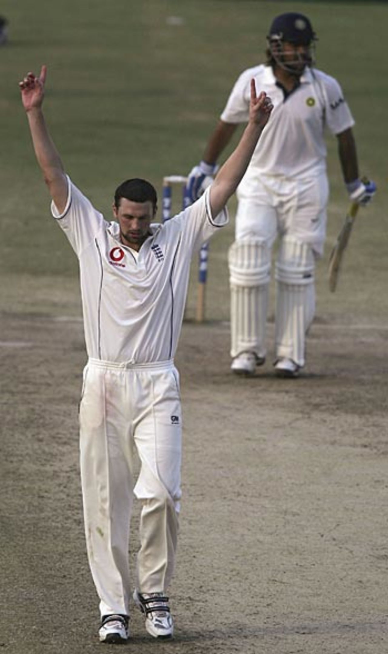 Steve Harmison celebrates as Mahendra Dhoni holes out to Andrew Strauss, India v England, 1st Test, Nagpur, March 5, 2006