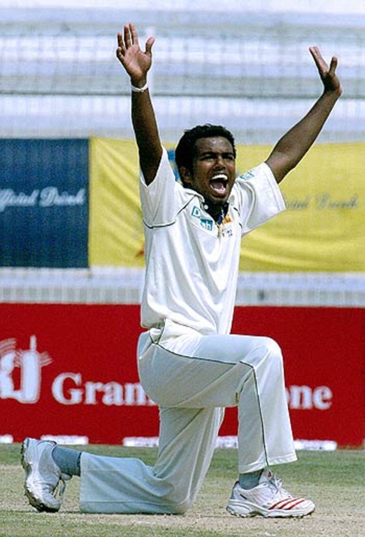 Malinga Bandara appeals in vain against Habibul Bashar, Bangladesh v Sri Lanka, 2nd Test, Bogra, March 8, 2006