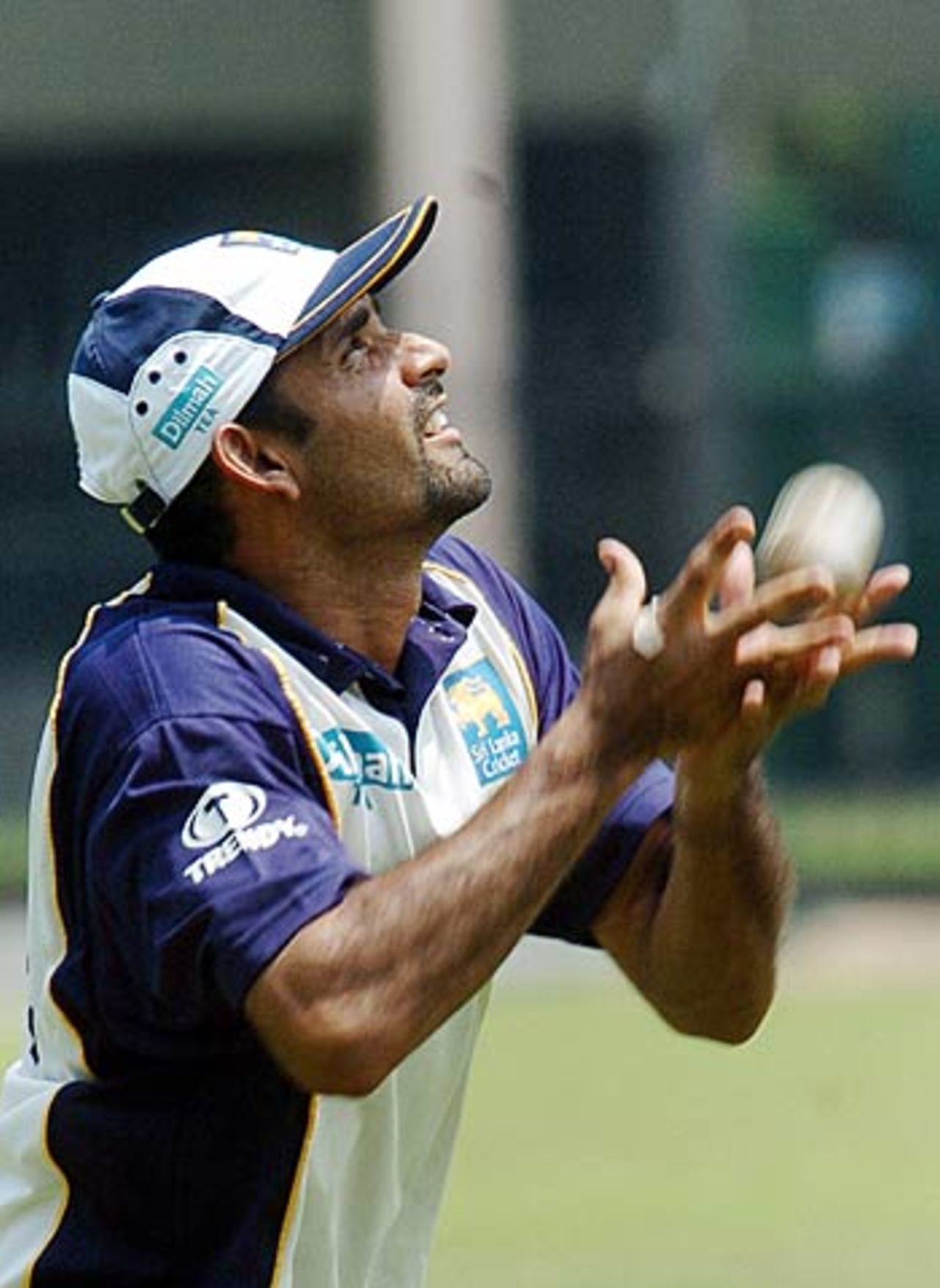 Marvan Atapattu takes a catch during training as Sri Lanka prepare for the one-day series against Pakistan, Colombo, March 15, 2006