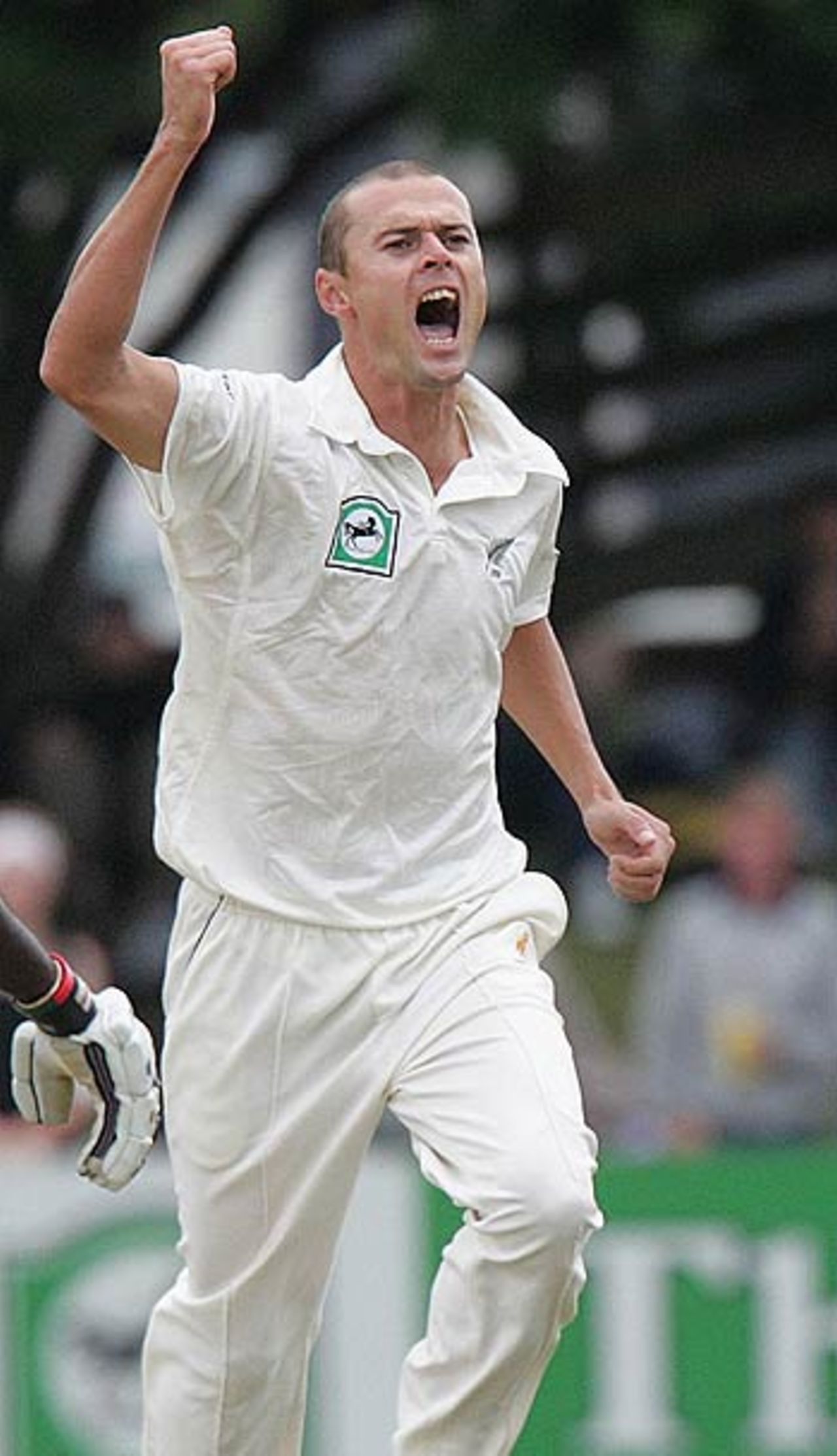 Chris Martin gets rid of Rawl Lewis, New Zealand v West Indies, 2nd Test, Wellington, 1st day, March 17 2006