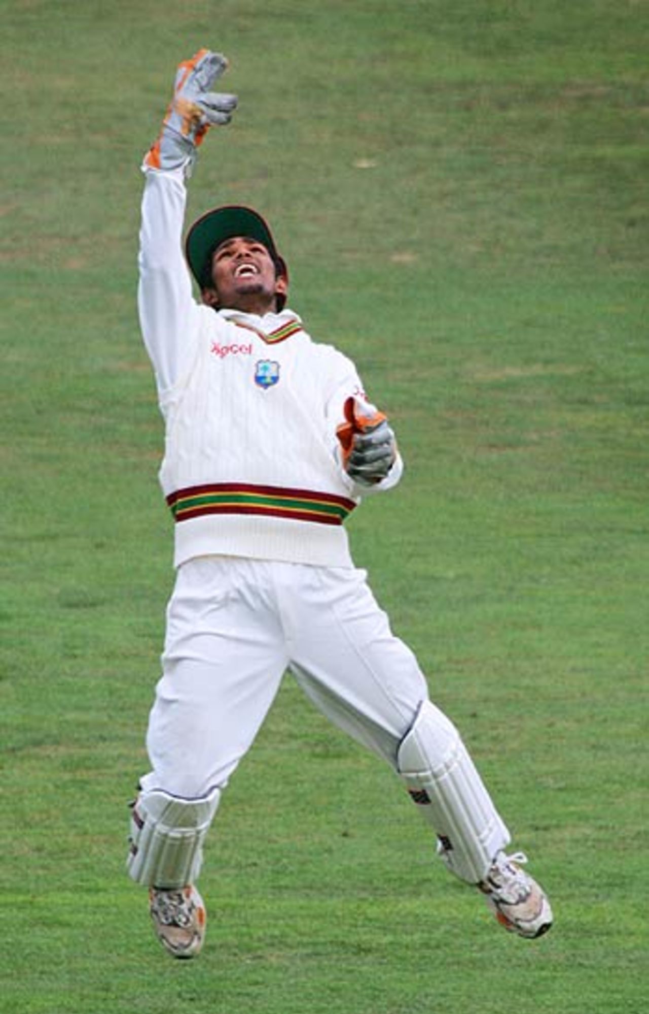 Denesh Ramdin celebrates after catching Brendon McCullum, New Zealand v West Indies, 2nd Test, Wellington, 2nd day, March 18, 2006