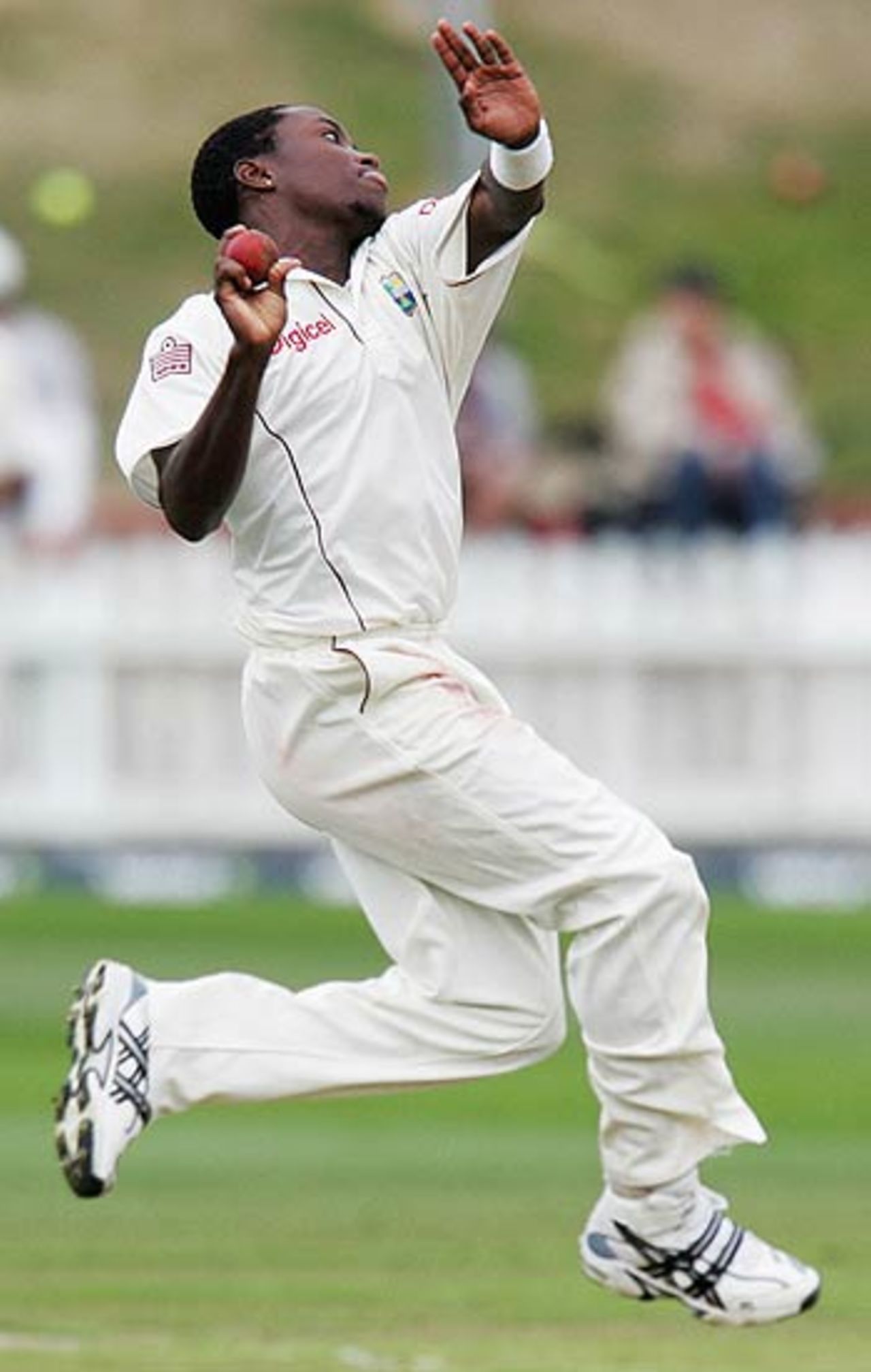 Fidel Edwards charges in, New Zealand v West Indies, 2nd Test, Wellington, 2nd day, March 18, 2006