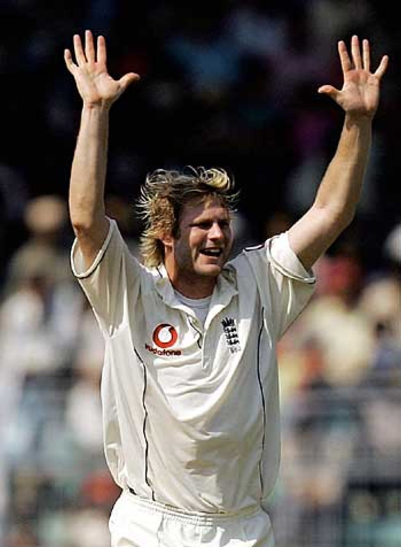 Matthew Hoggard is jubilant after dismissing Wasim Jaffer, India v England, 3rd Test, Mumbai, 2nd day, March 19 2006