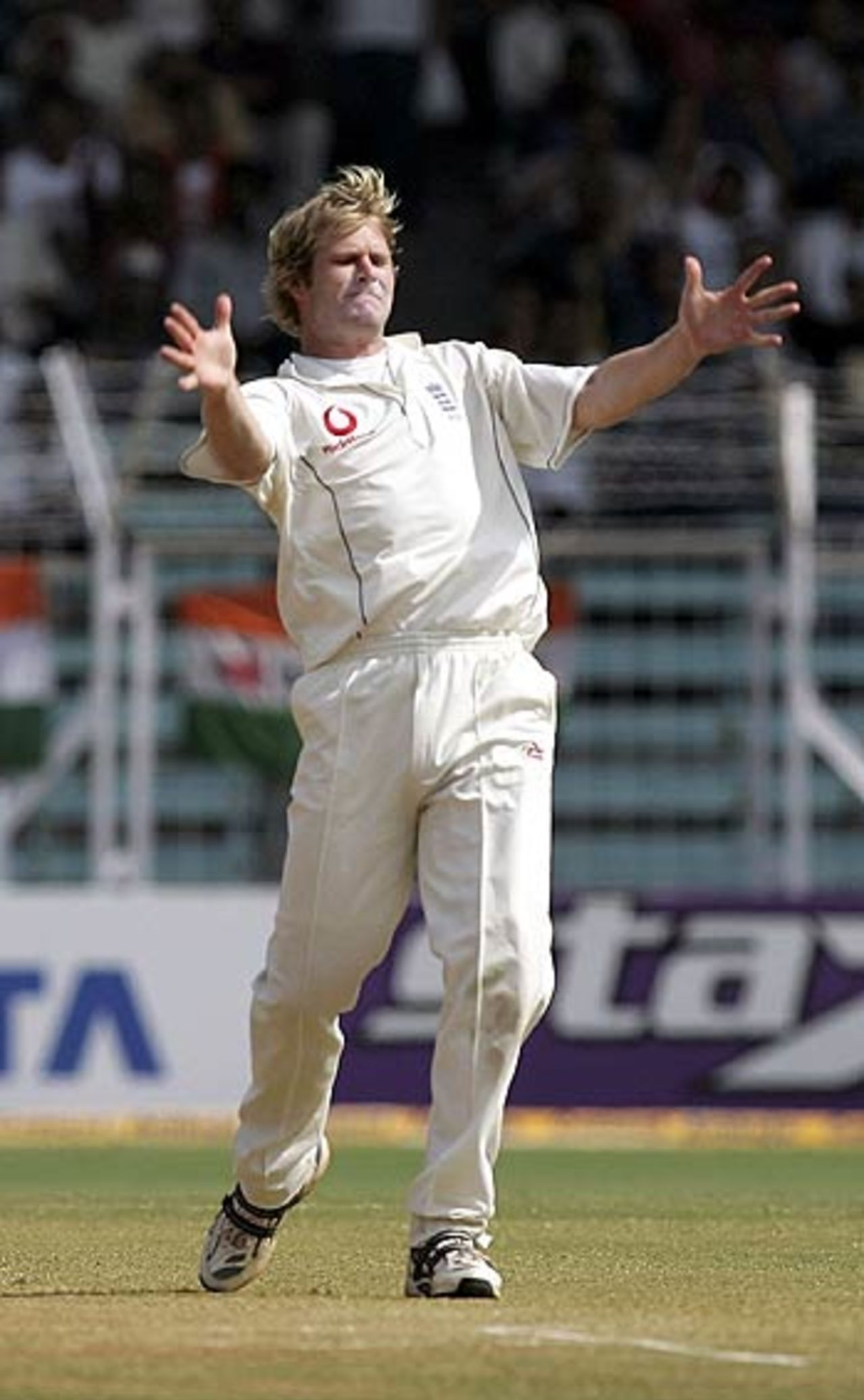 Matthew Hoggard exults after his early success on day five, India v England, 3rd Test, Mumbai, March 22, 2006