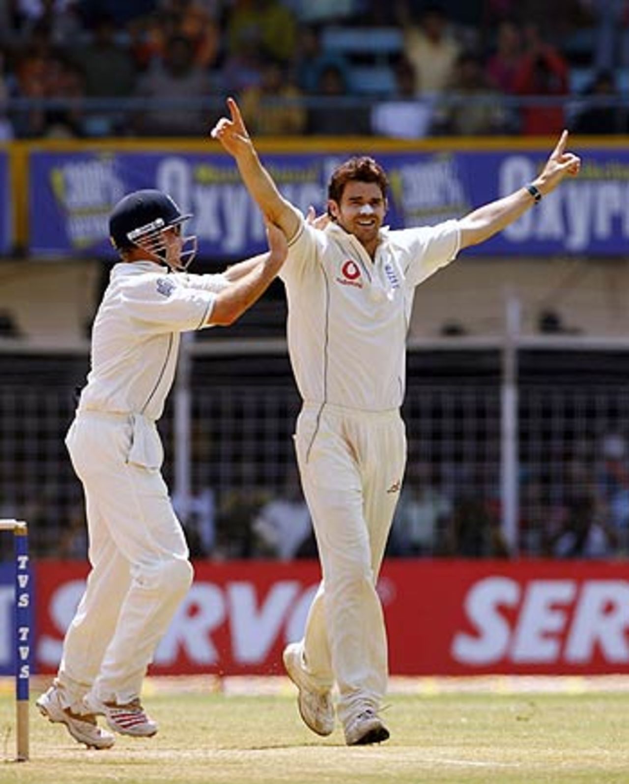 James Anderson celebrates his strike, India v England, 3rd Test, Mumbai, March 22, 2006