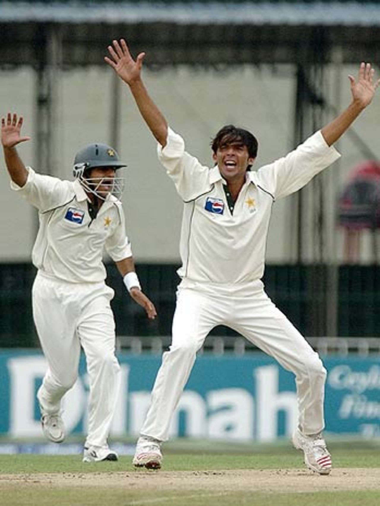 Mohammad Asif appeals successfully against Upul Tharanga, Sri Lanka v Pakistan, 1st Test, Colombo (SSC), 2nd day, March 27, 2006