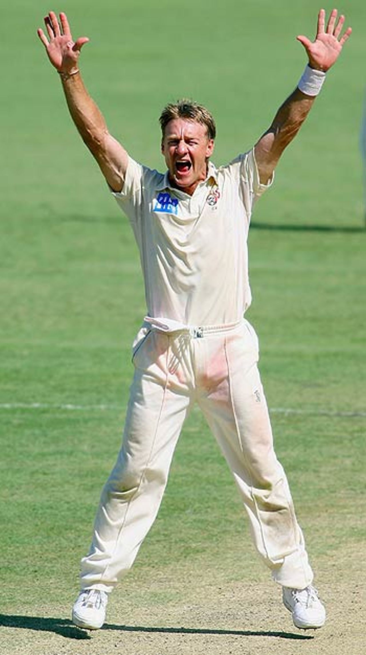 Andy Bichel roars an appeal, Queensland v Victoria, Pura Cup final, Brisbane, 5th day, March 28, 2006