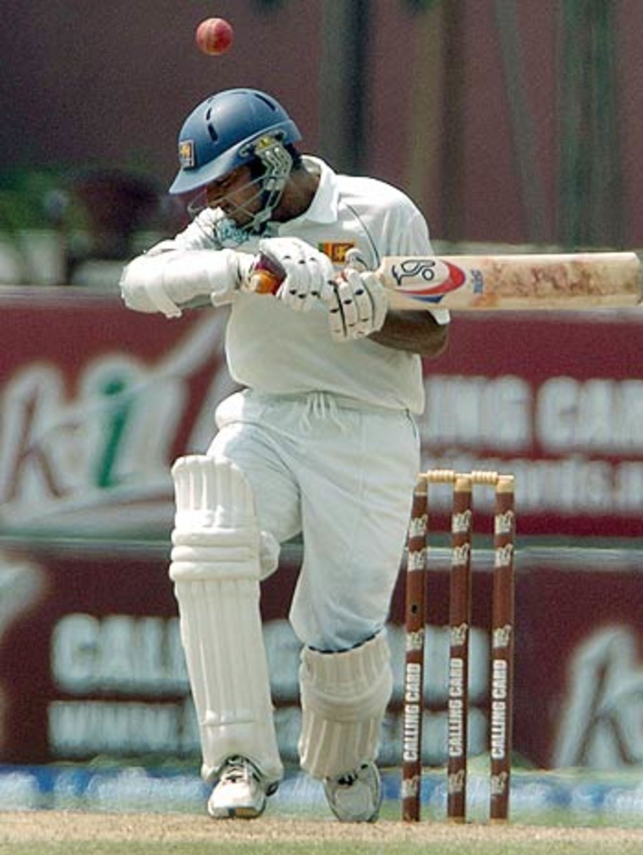 Kumar Sangakkara takes his eyes off a rising delivery, 
Sri Lanka v Pakistan, 1st Test, Colombo (SSC), 3rd day, March 28 2006