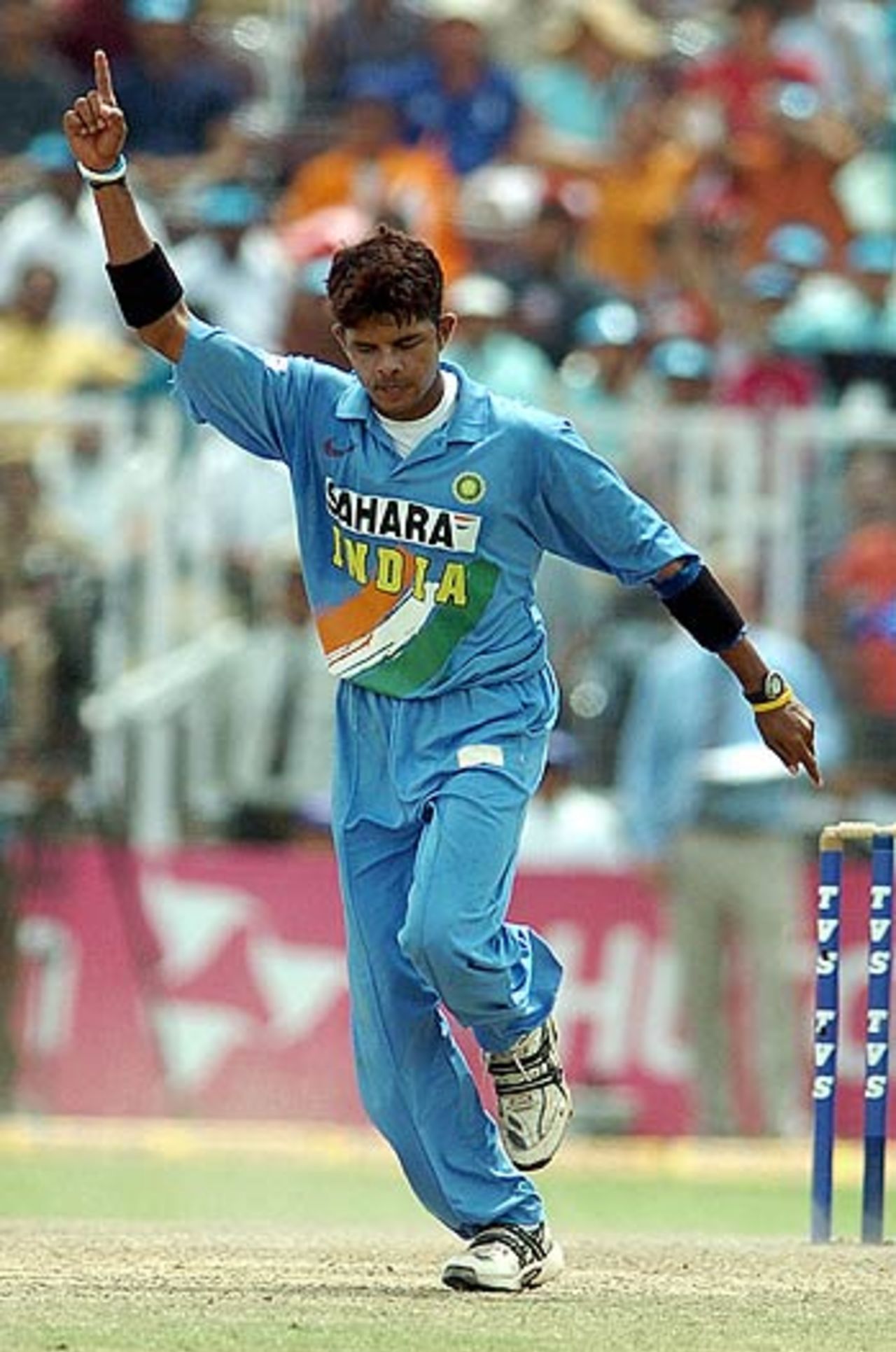 Sreesanth celebrates his third wicket as England are bowled out for 226, India v England, 2nd ODI, Faridabad, March 31, 2006
