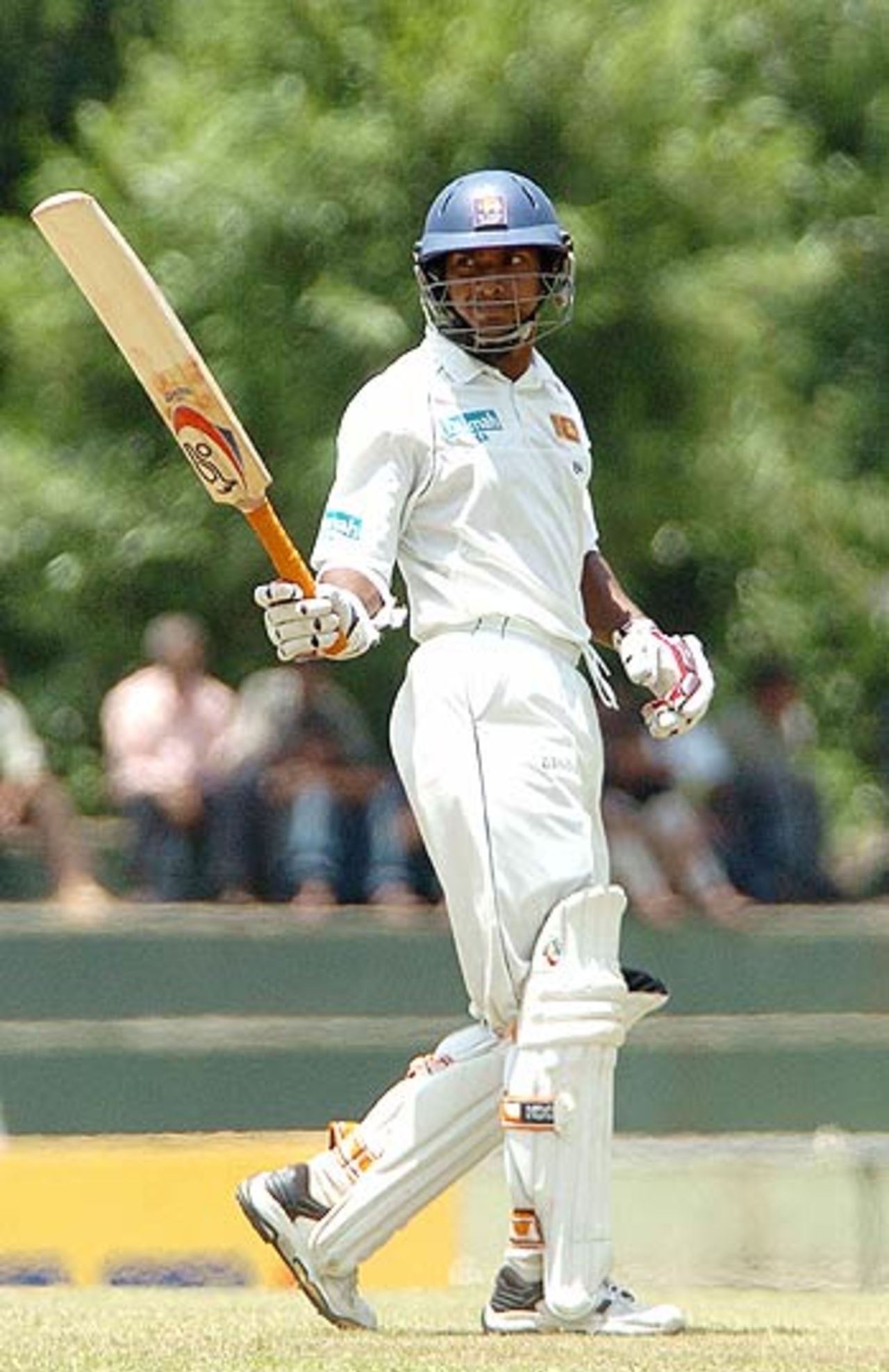 Kumar Sangakkara celebrates his fifty, Sri Lanka v Pakistan, 2nd Test, Kandy, 1st day, April, 3, 2006