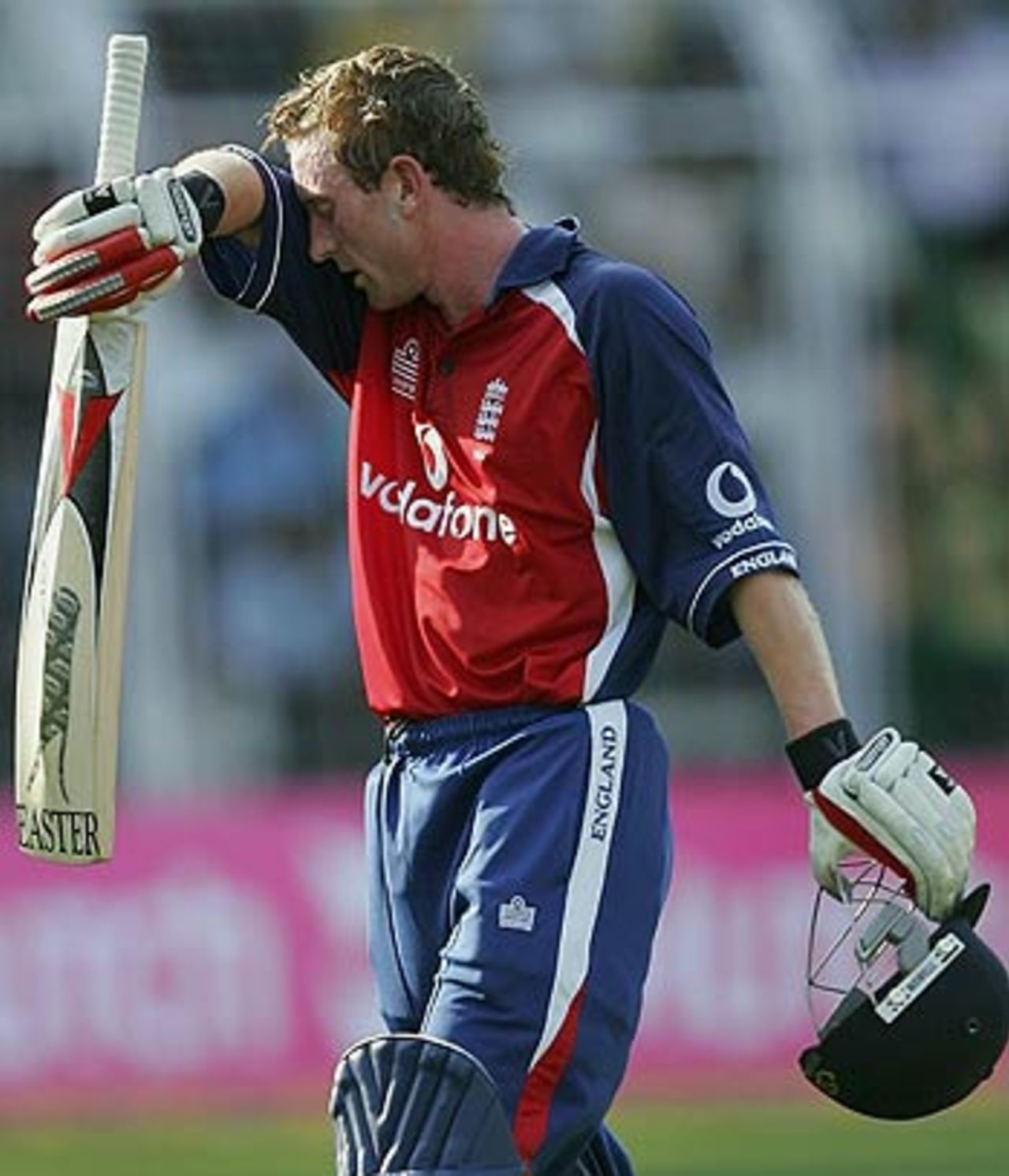 Paul Collingwood could be a good bet to be England's top runscorer in the one-day series