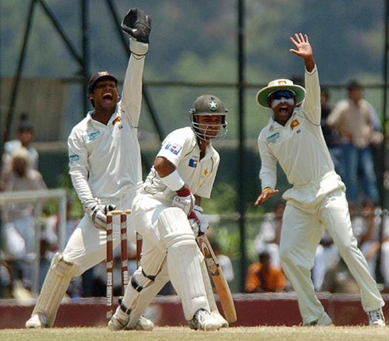 Kumar Sangakkara and Mahela Jayawardene appeal against Imran Farhat, Sri Lanka v Pakistan, 2nd Test, Kandy, 3rd day, April 5, 2006